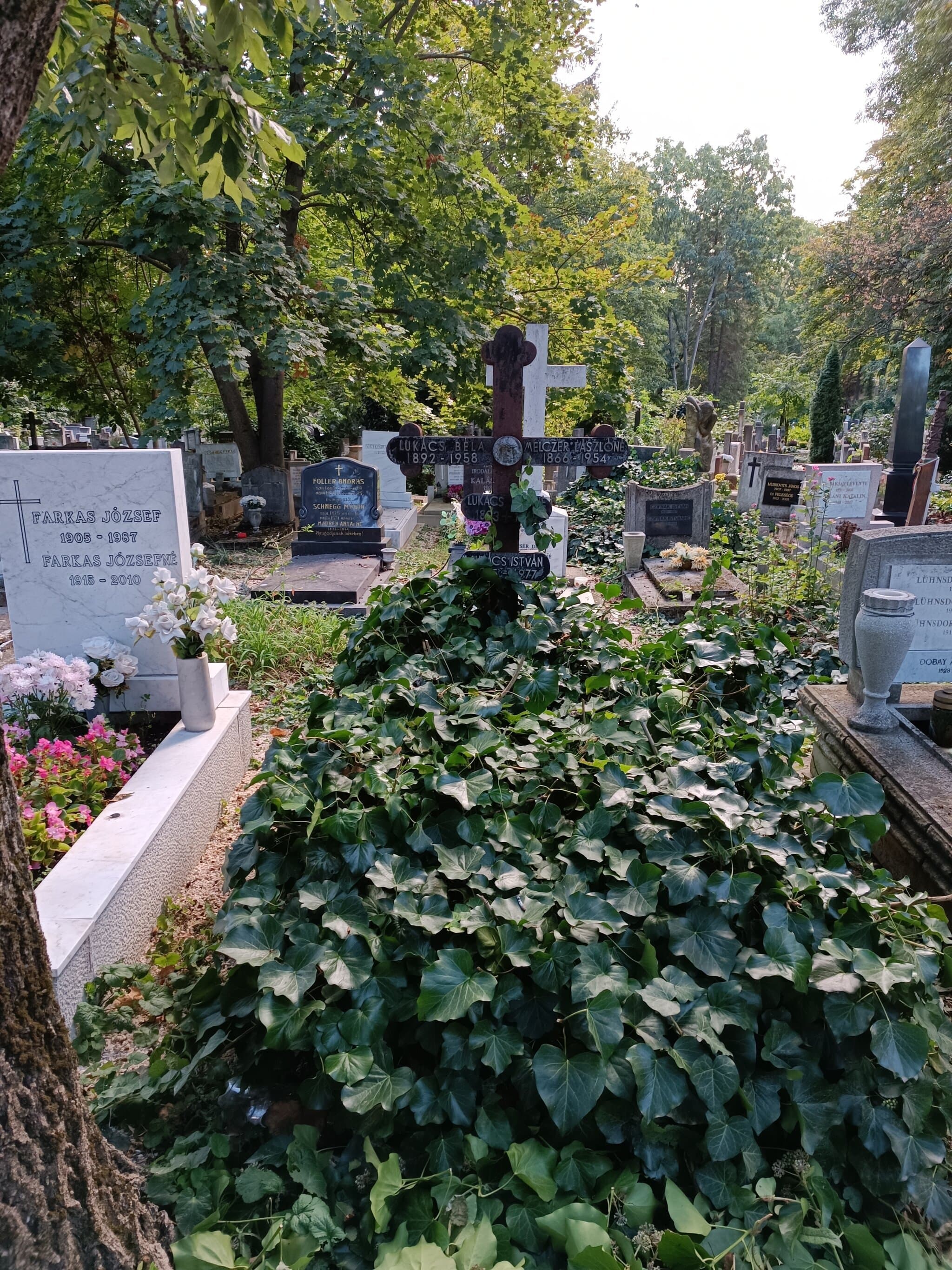 kövecsesi Lukács Béla sírja