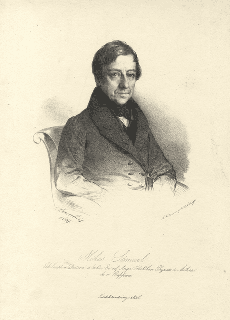 Méhes Sámuel portréja