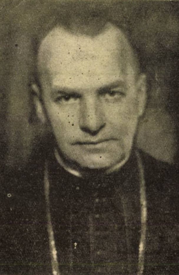 Mészáros János portréja
