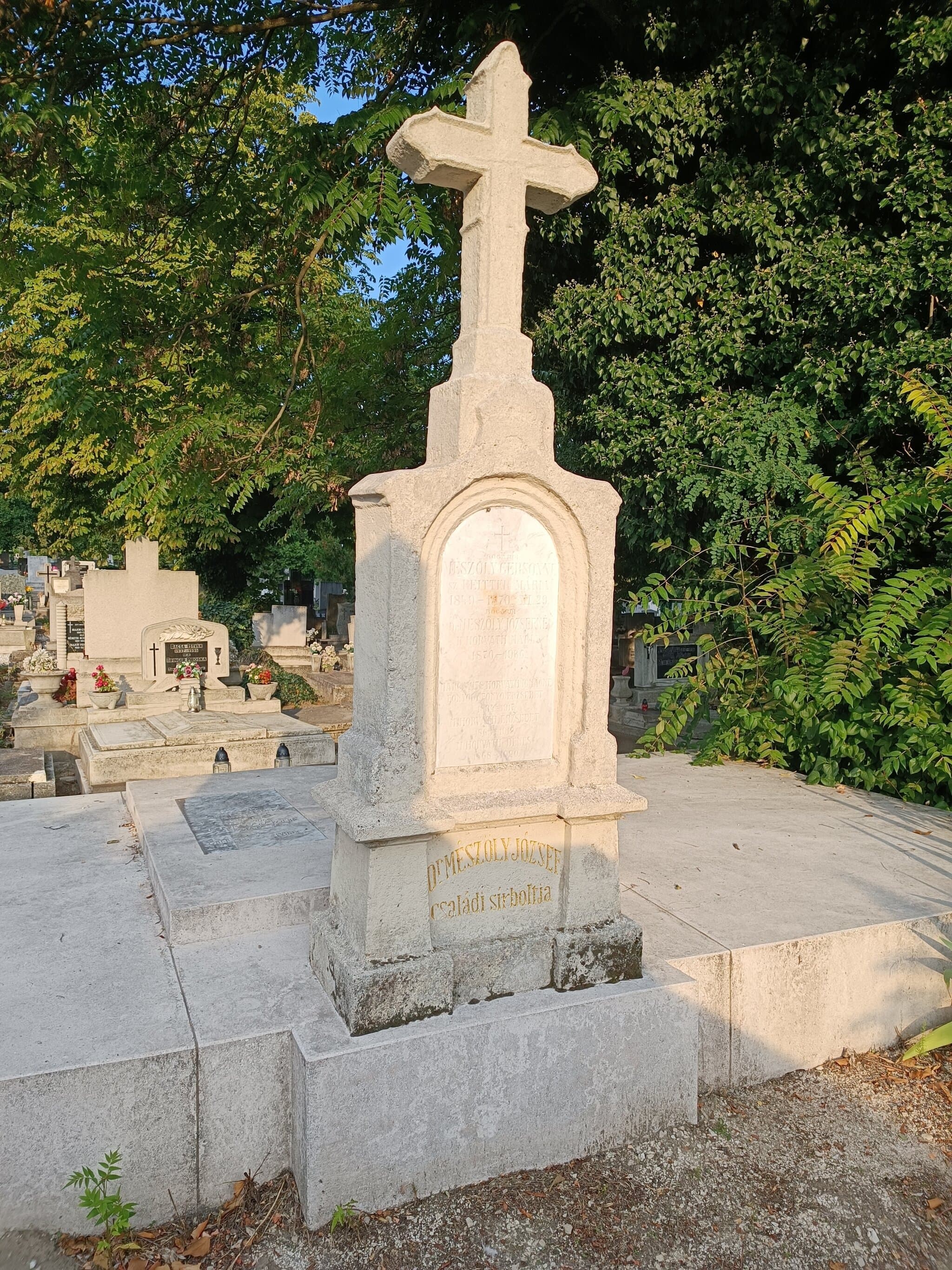 sárbogárdi Mészöly József sírja