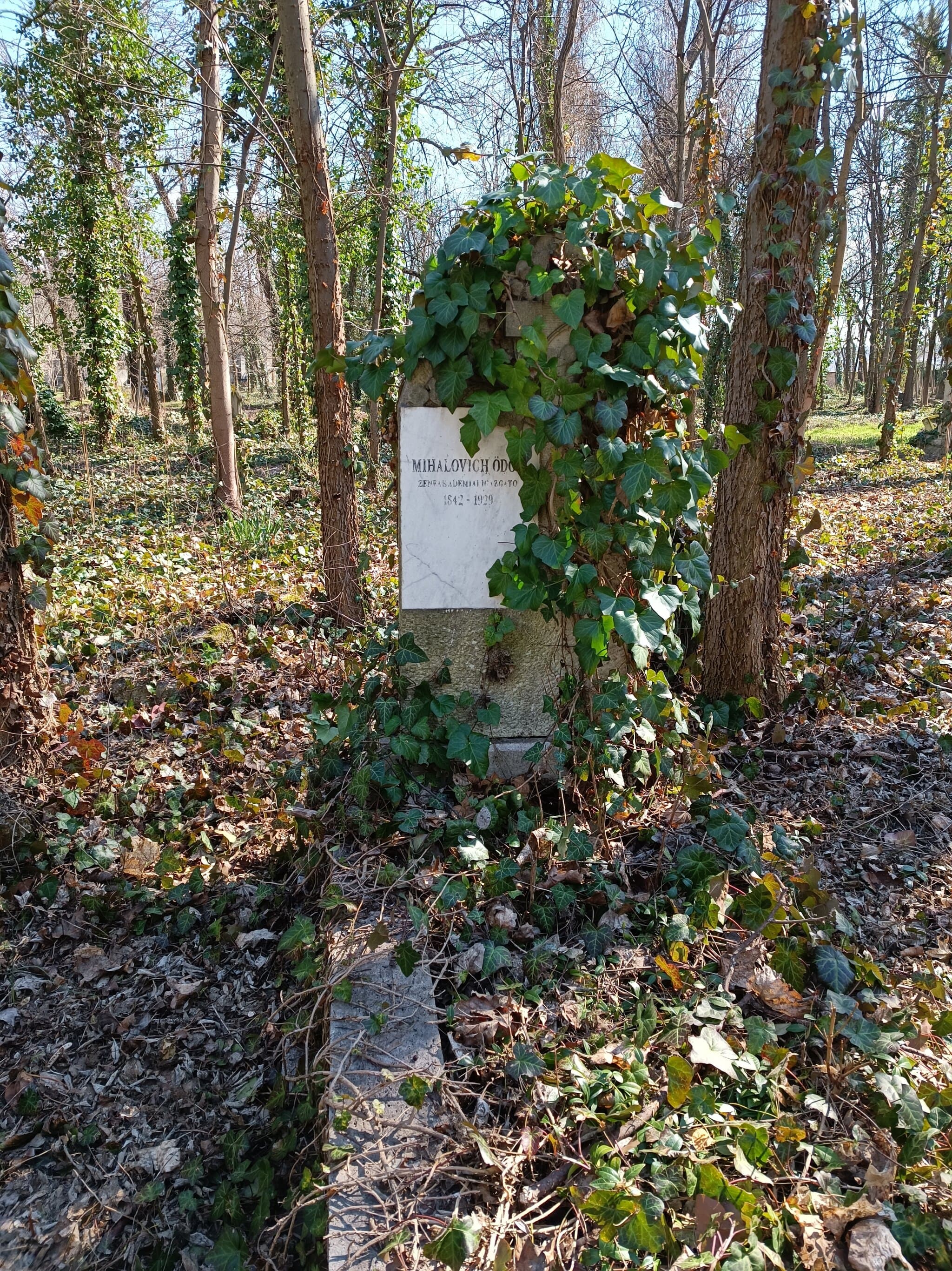 Mihalovich Ödön sírja