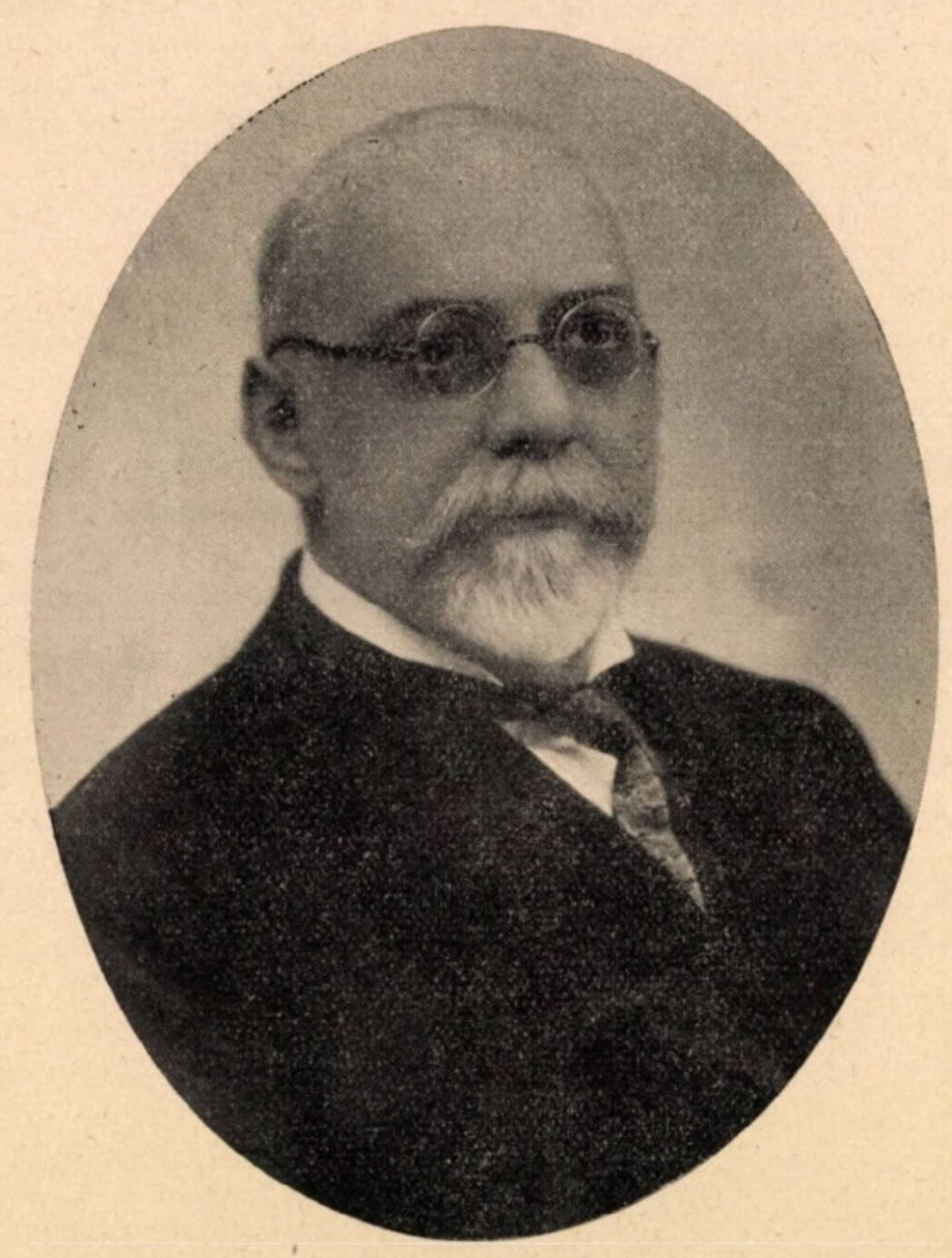 Mihalovits Jenő portréja