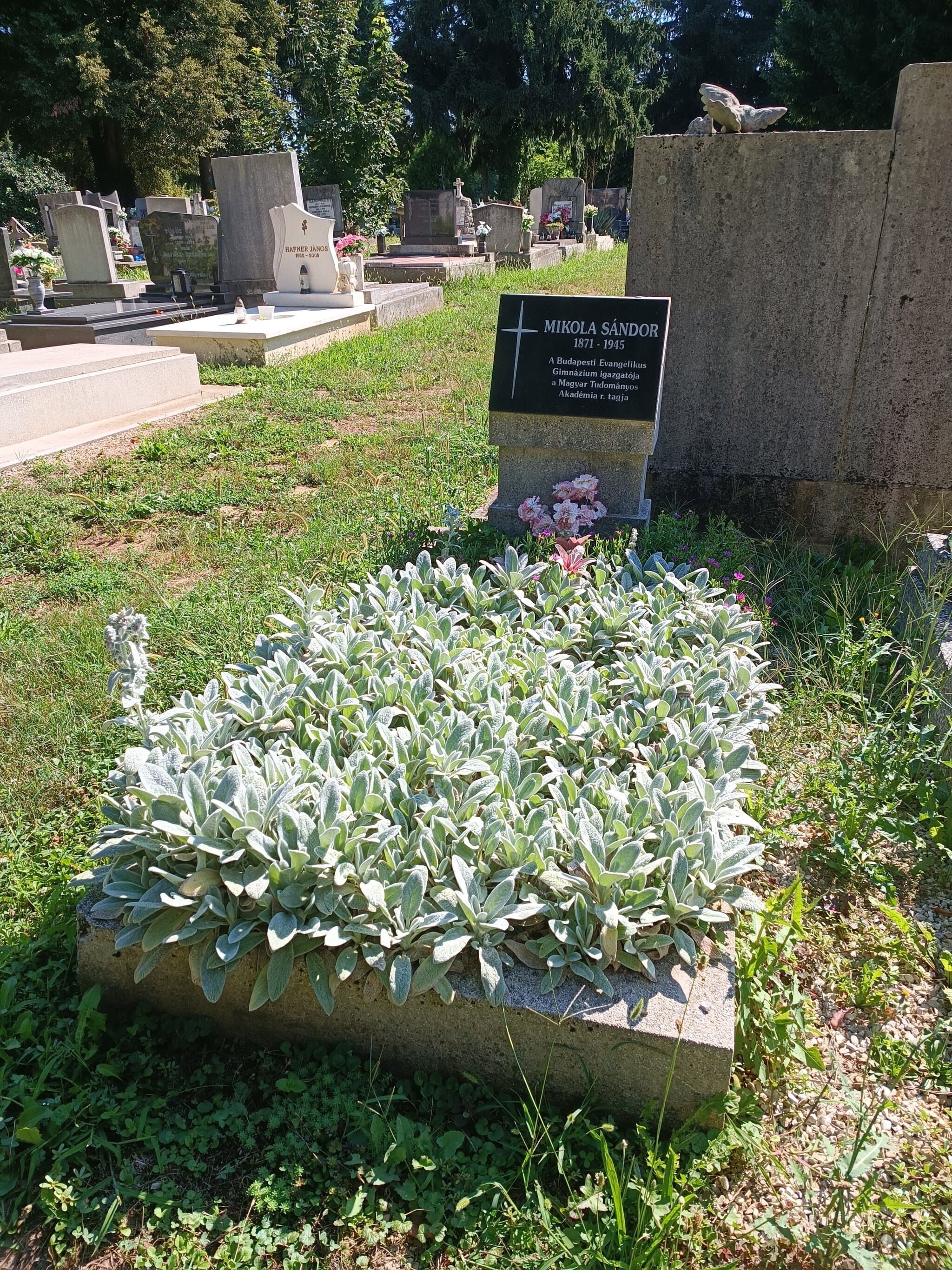 Mikola Sándor sírja