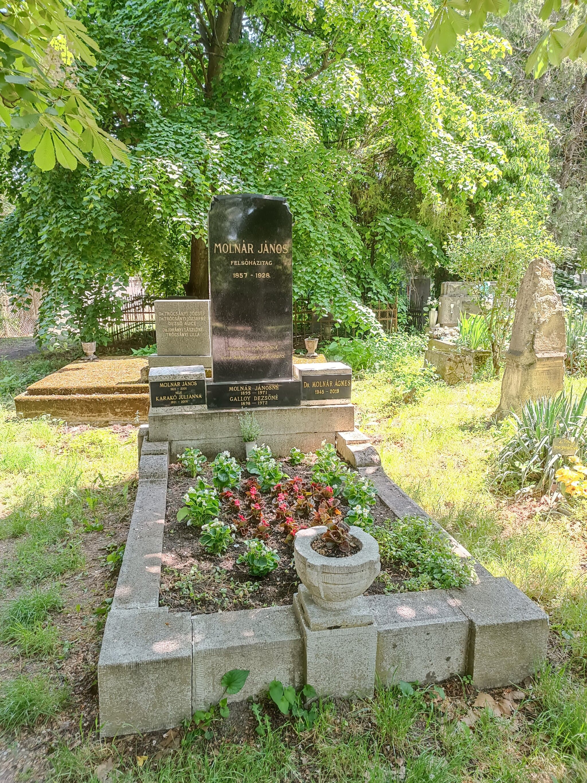 Molnár János 1857 sírja