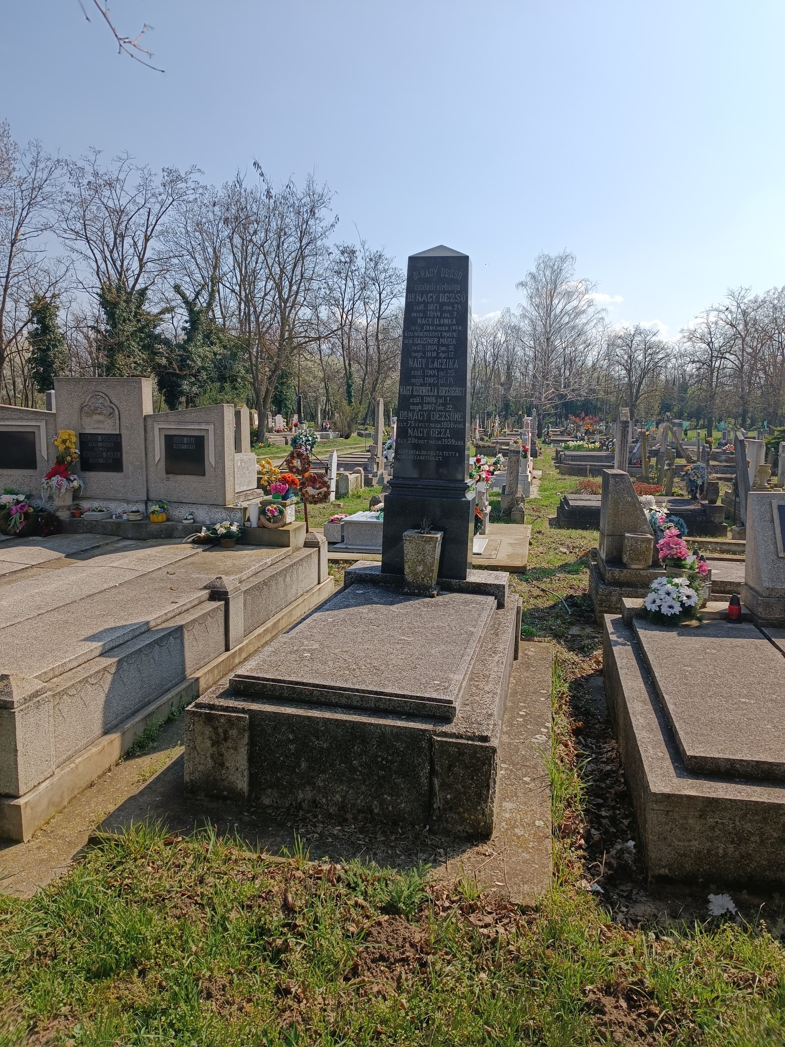 Nagy Dezső 1871 sírja