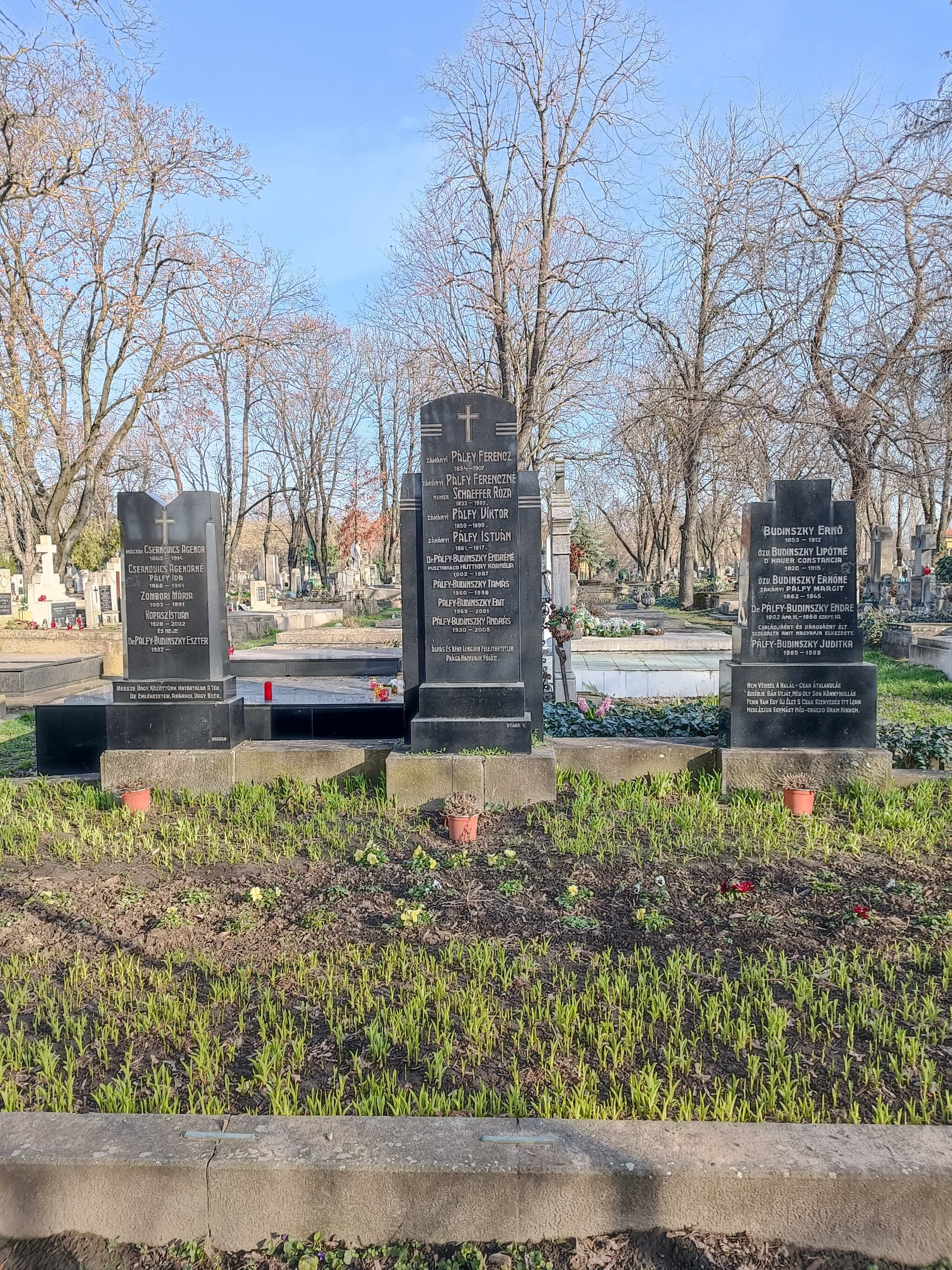 zákányi Pálfy Ferenc sírja