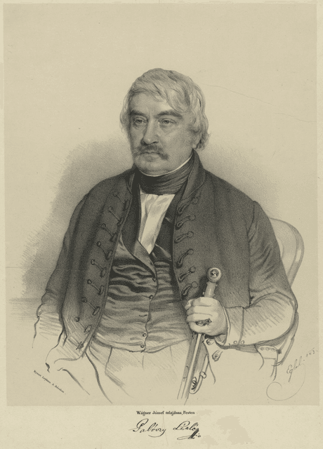Palóczy László portréja