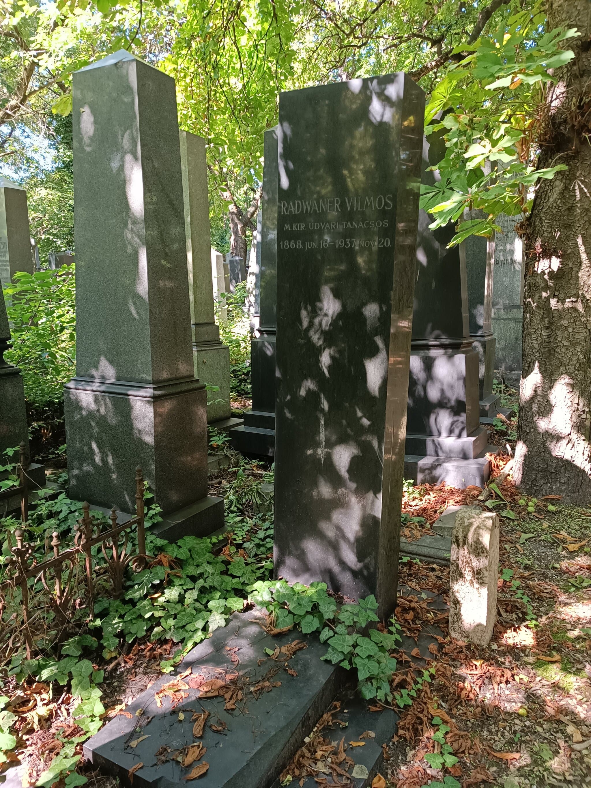Radwaner Vilmos sírja