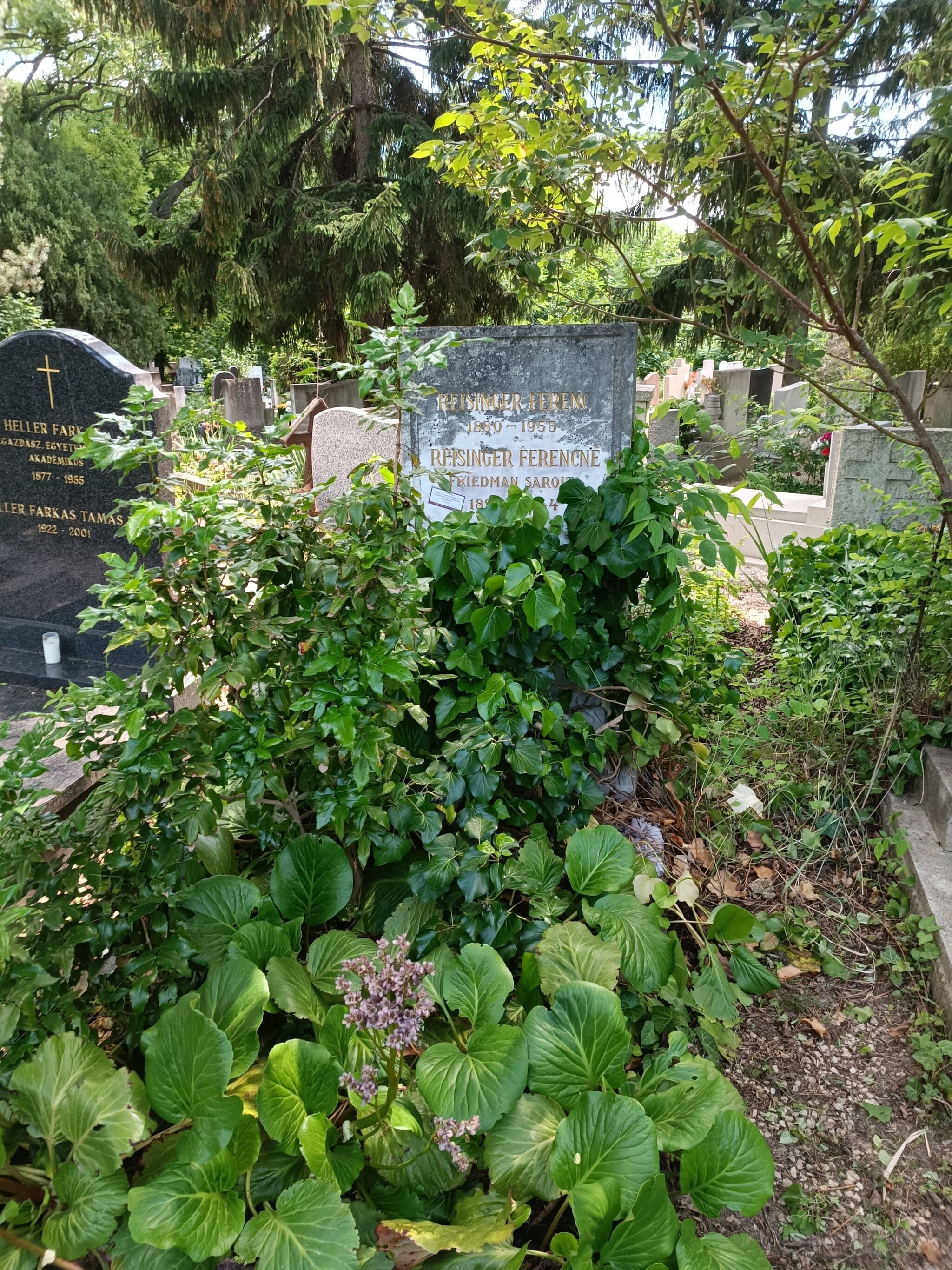 Reisinger Ferenc sírja