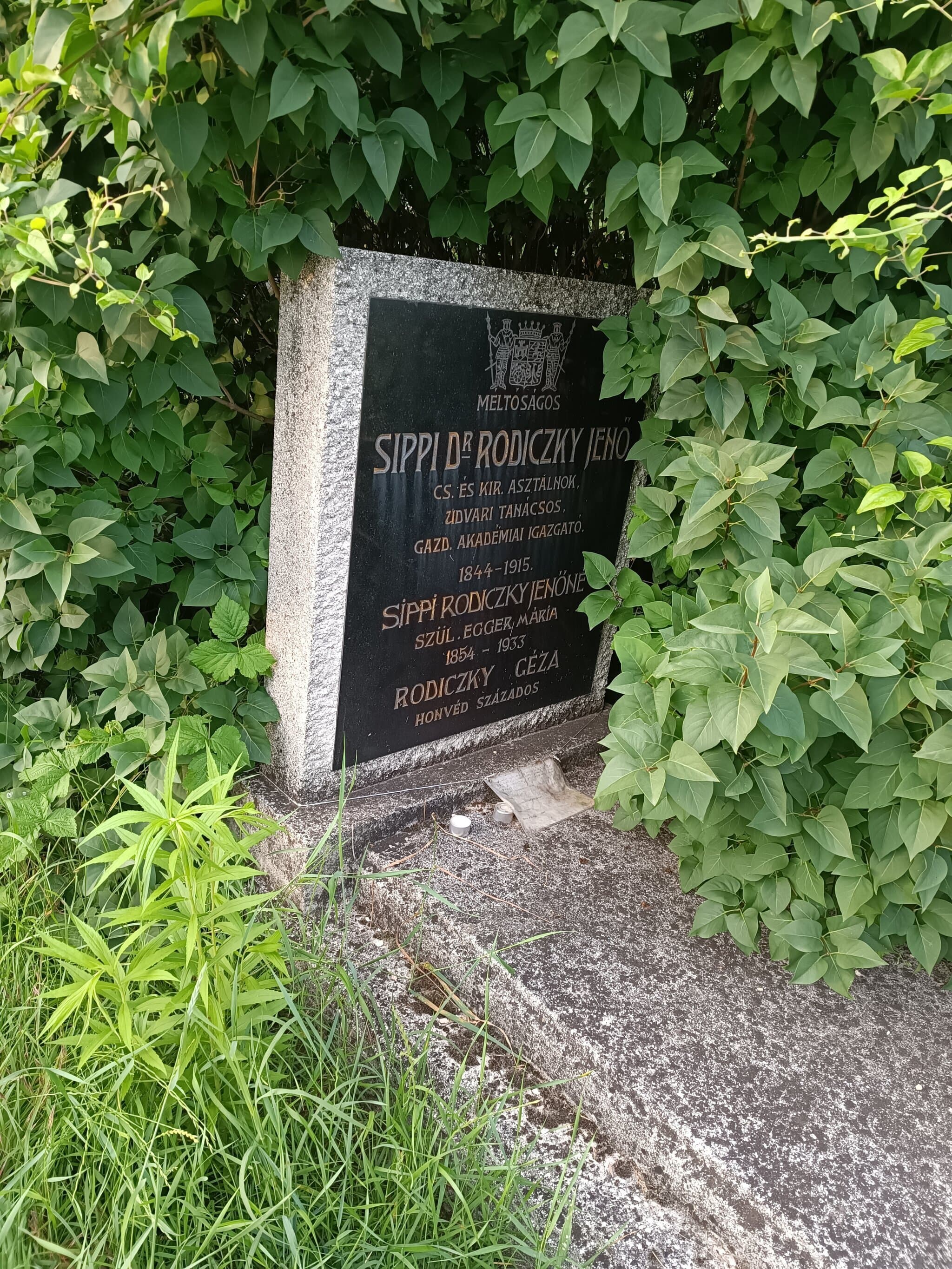 sippi Rodiczky Jenő sírja
