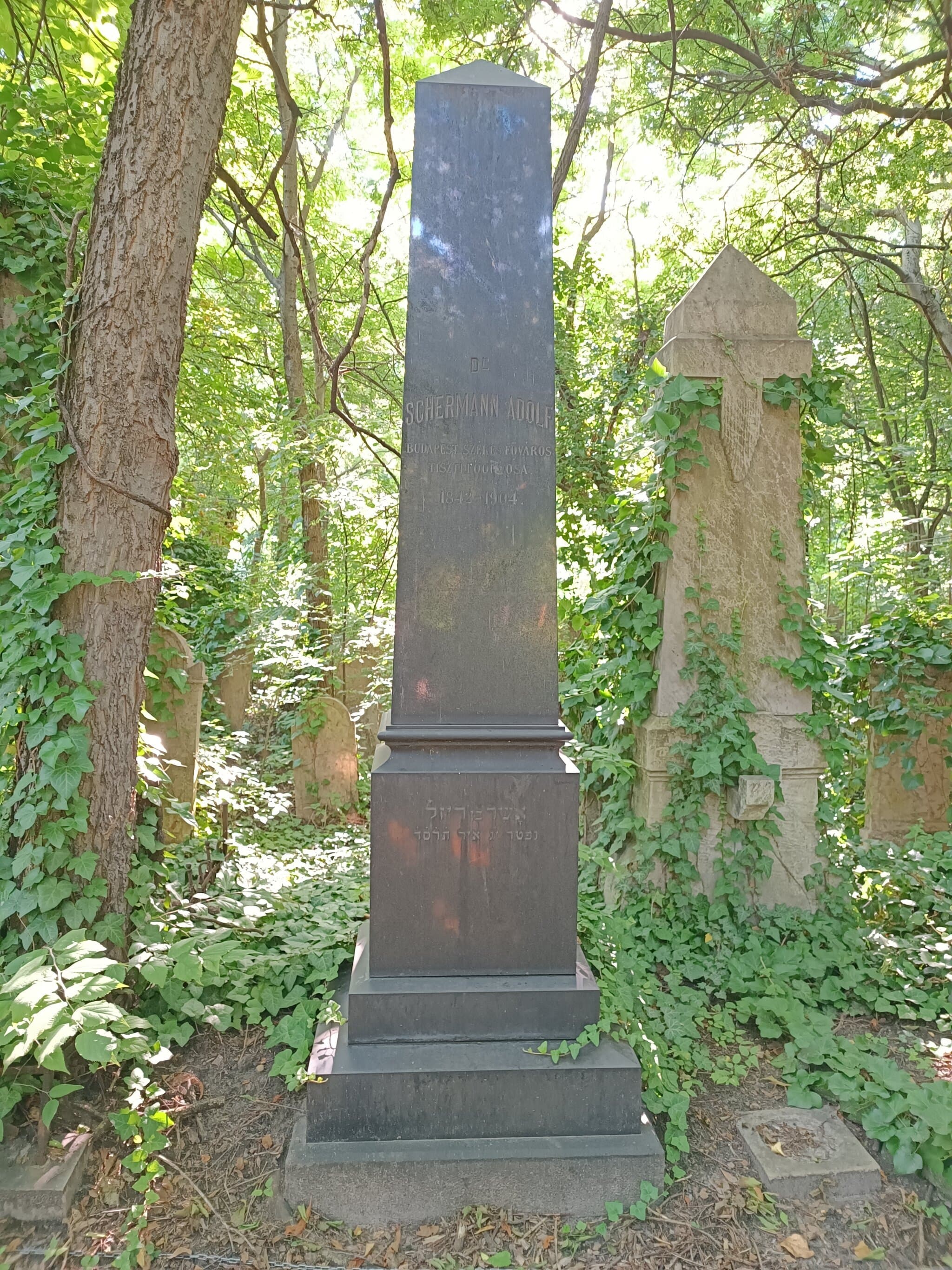 Schermann Adolf sírja