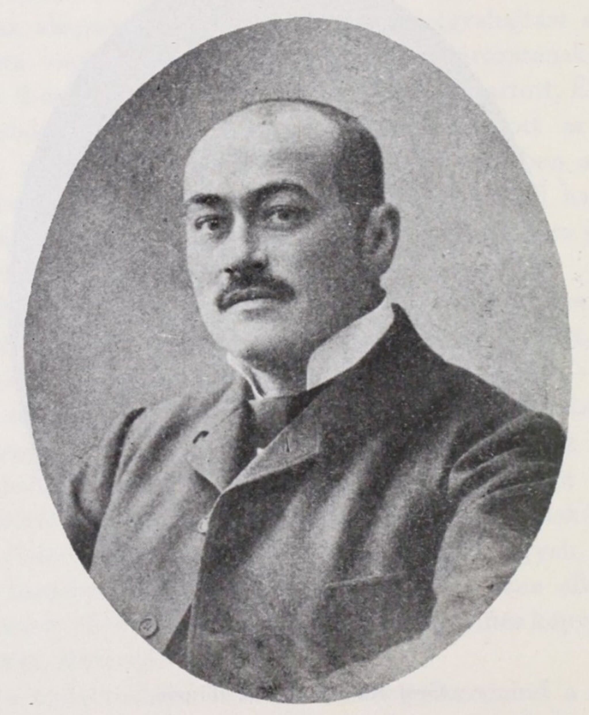 Schill József portréja