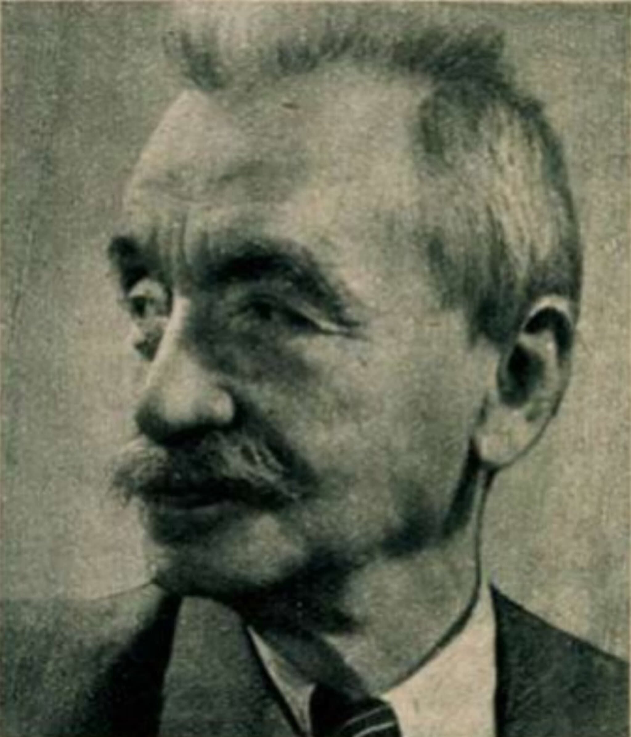Schöpflin Aladár portréja
