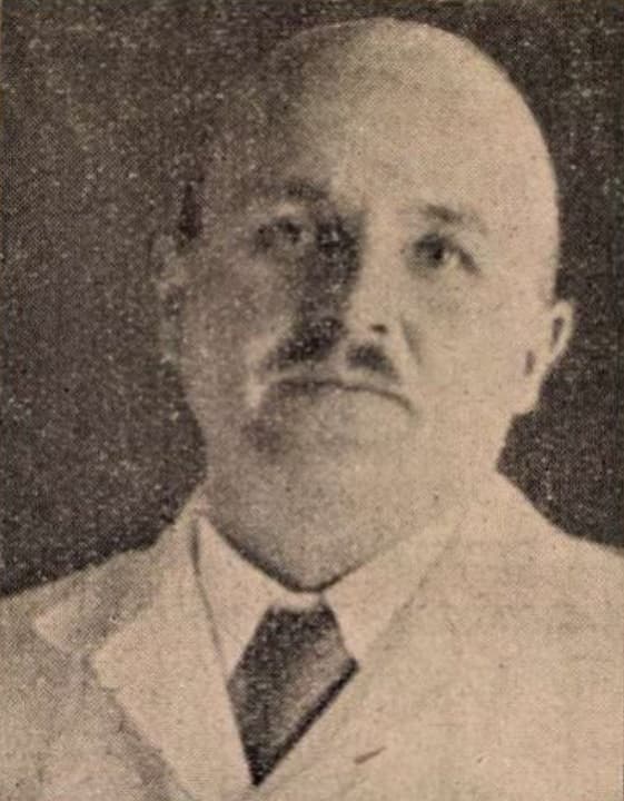 Schulek Elemér portréja
