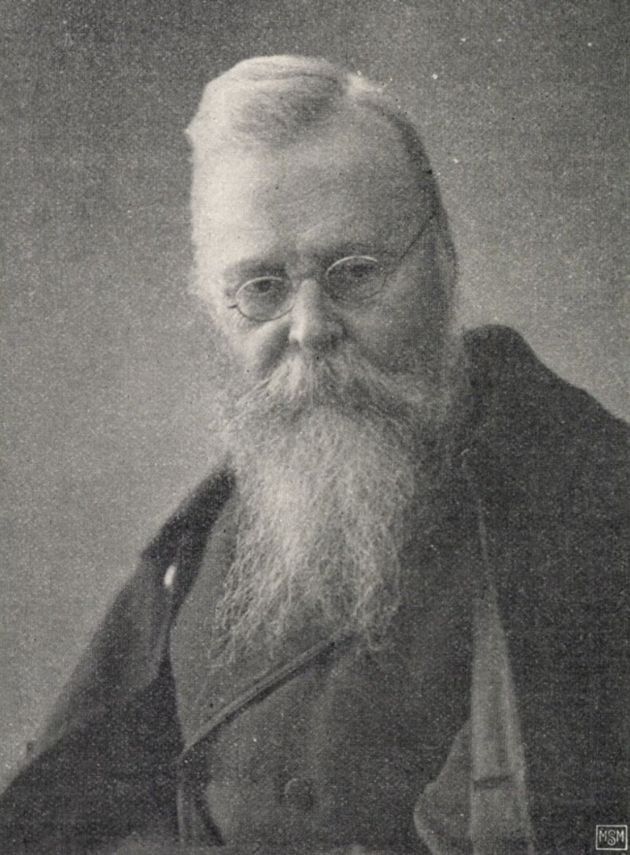 Schulek Frigyes portréja