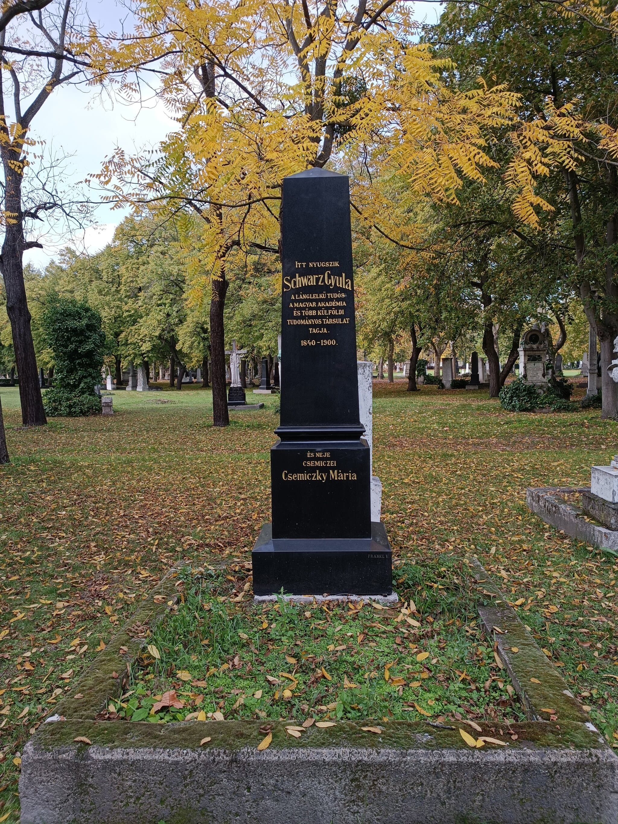 Schvarcz Gyula sírja