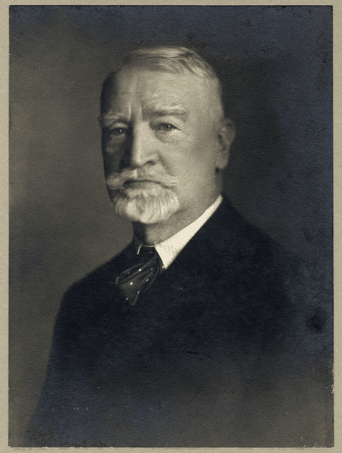 Simonyi-Semadam Sándor portréja
