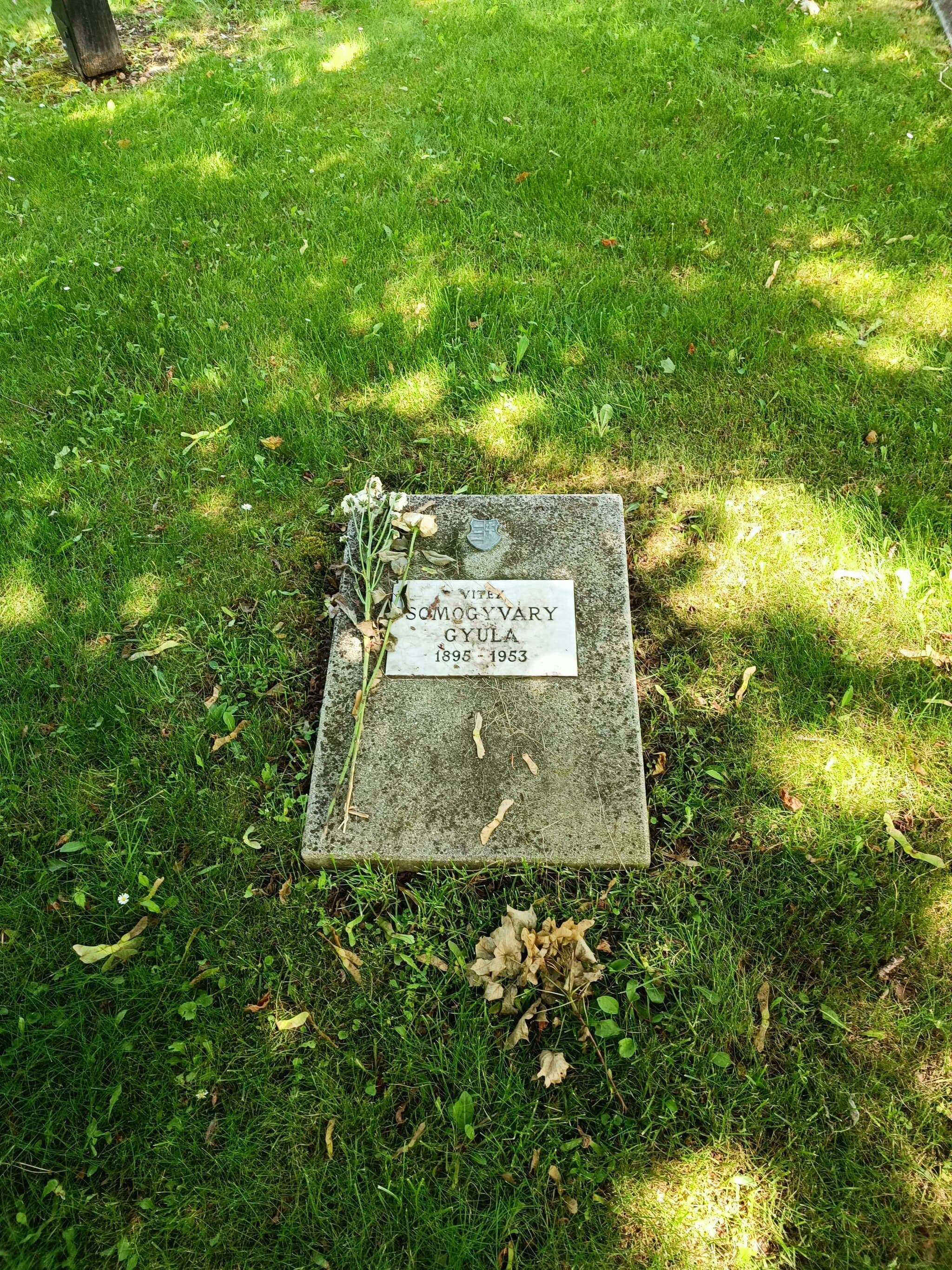 Somogyváry Gyula sírja