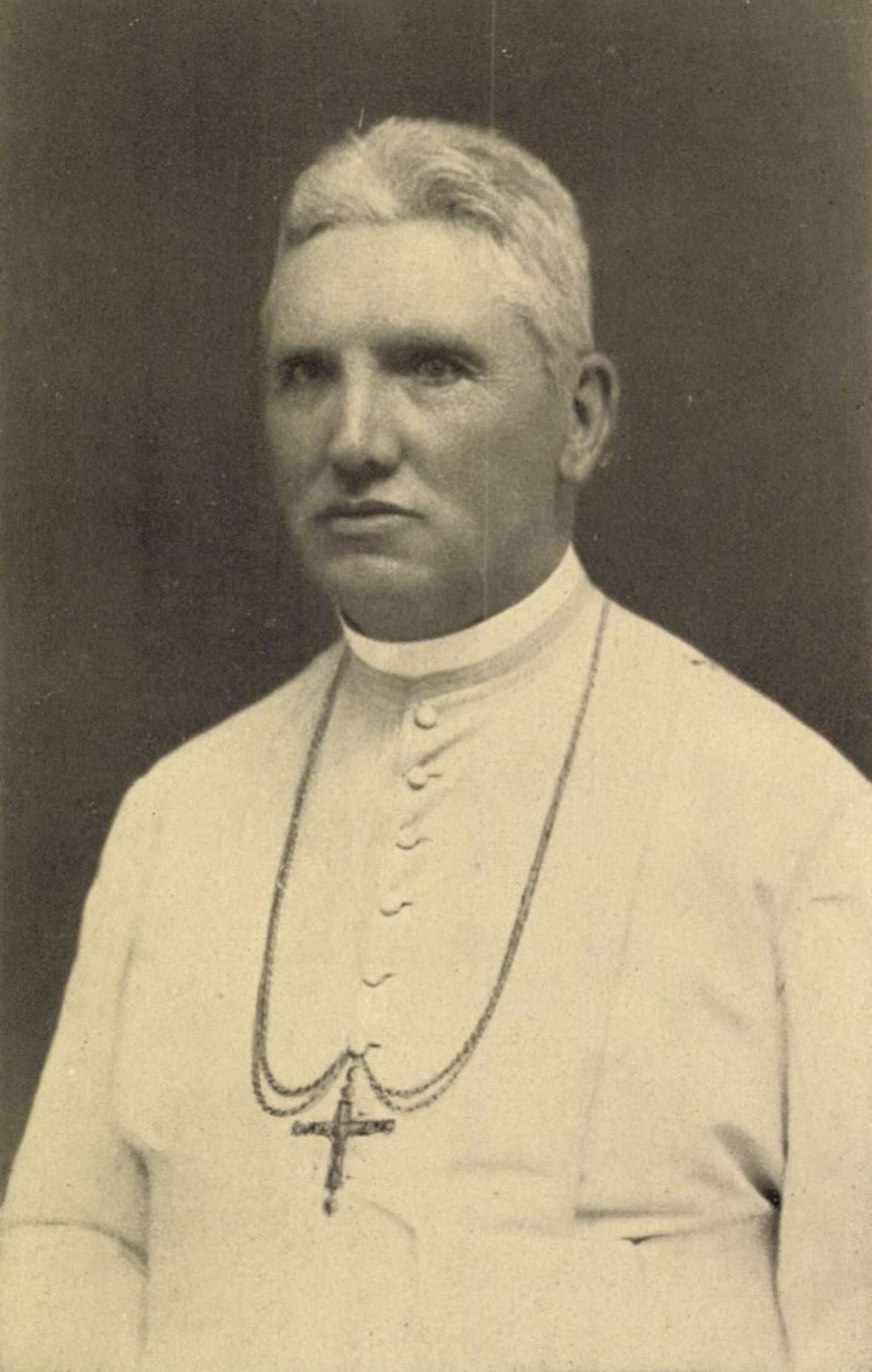 Steiner Miklós portréja