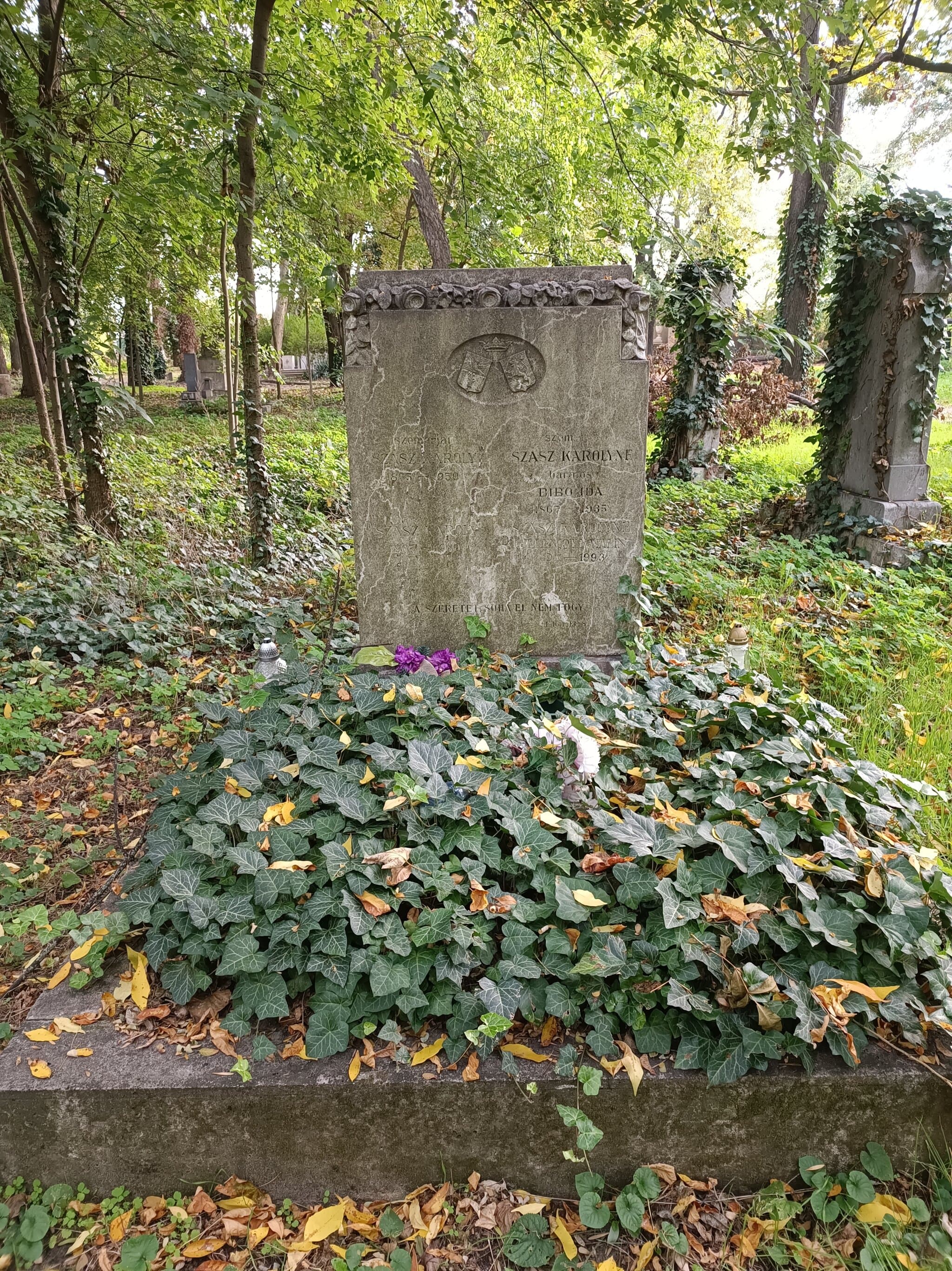 szemerjai Szász Károly 1865 sírja