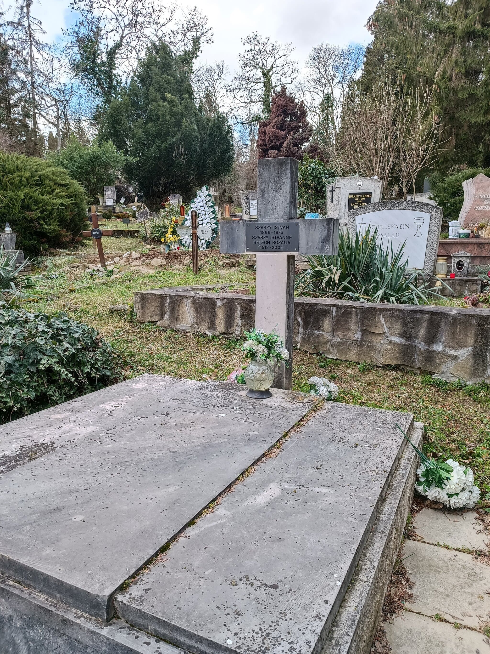 szászi Szászy István sírja