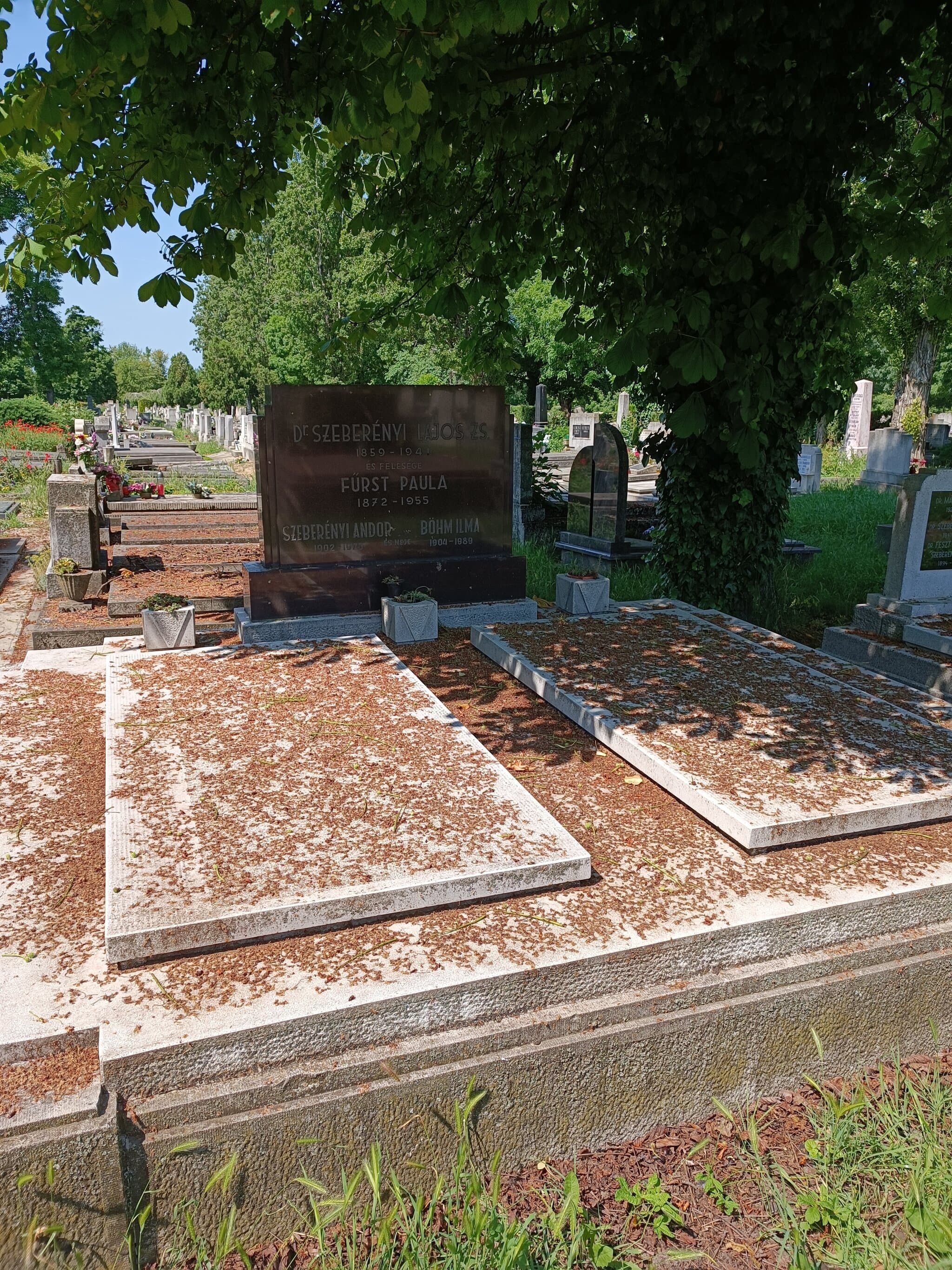 Szeberényi Lajos Zsigmond sírja