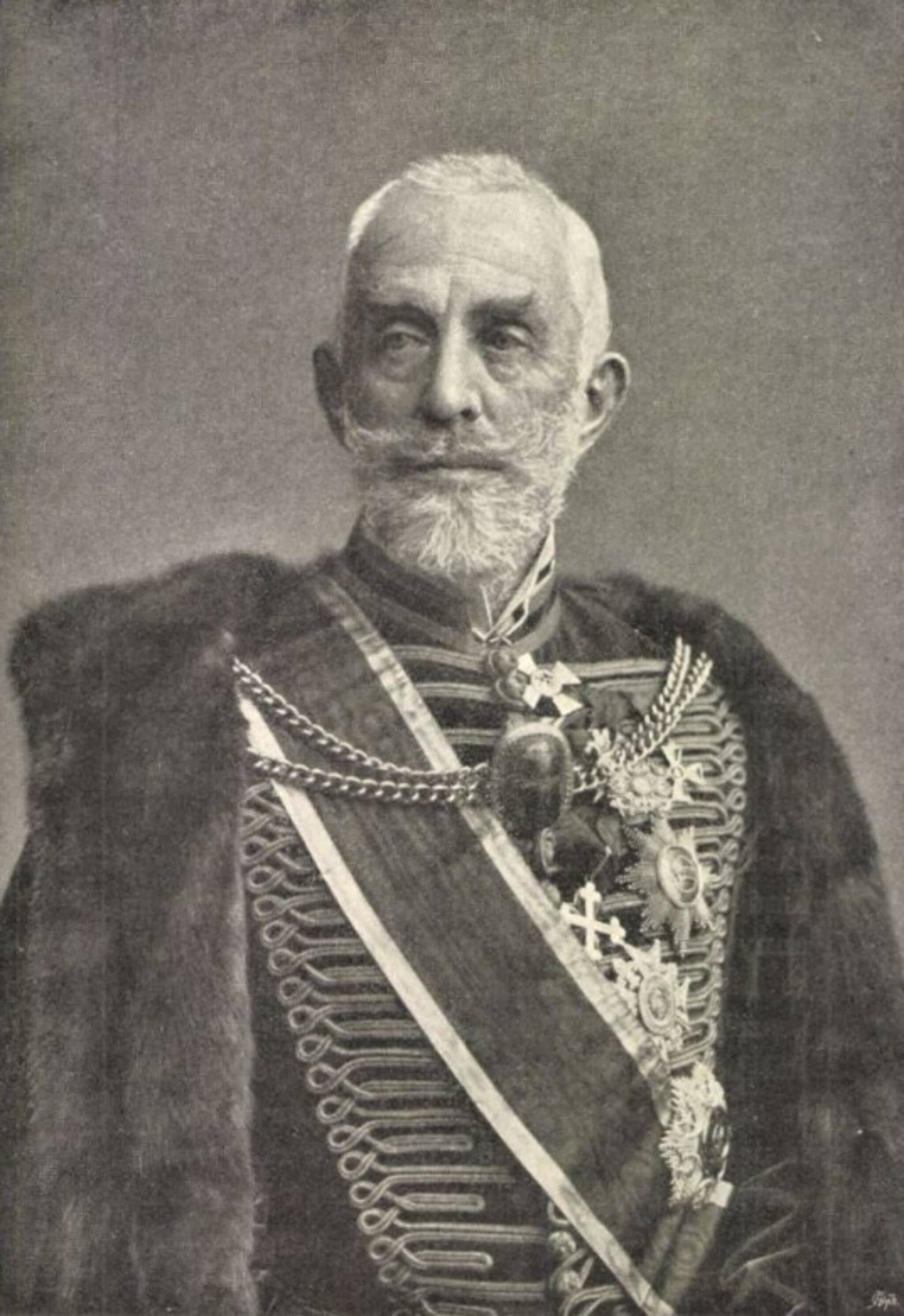 Széchényi Gyula portréja