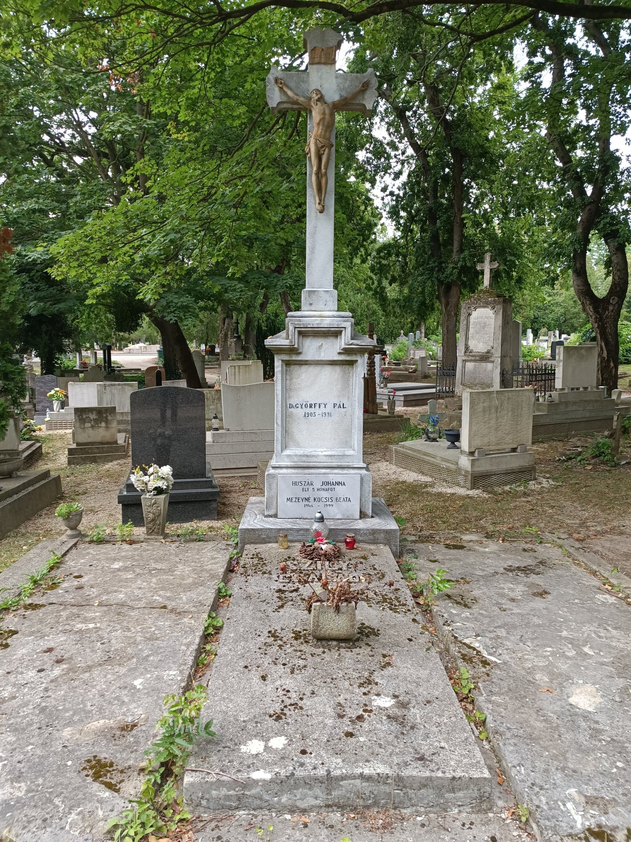 felsőszopori Szily Kálmán sírja