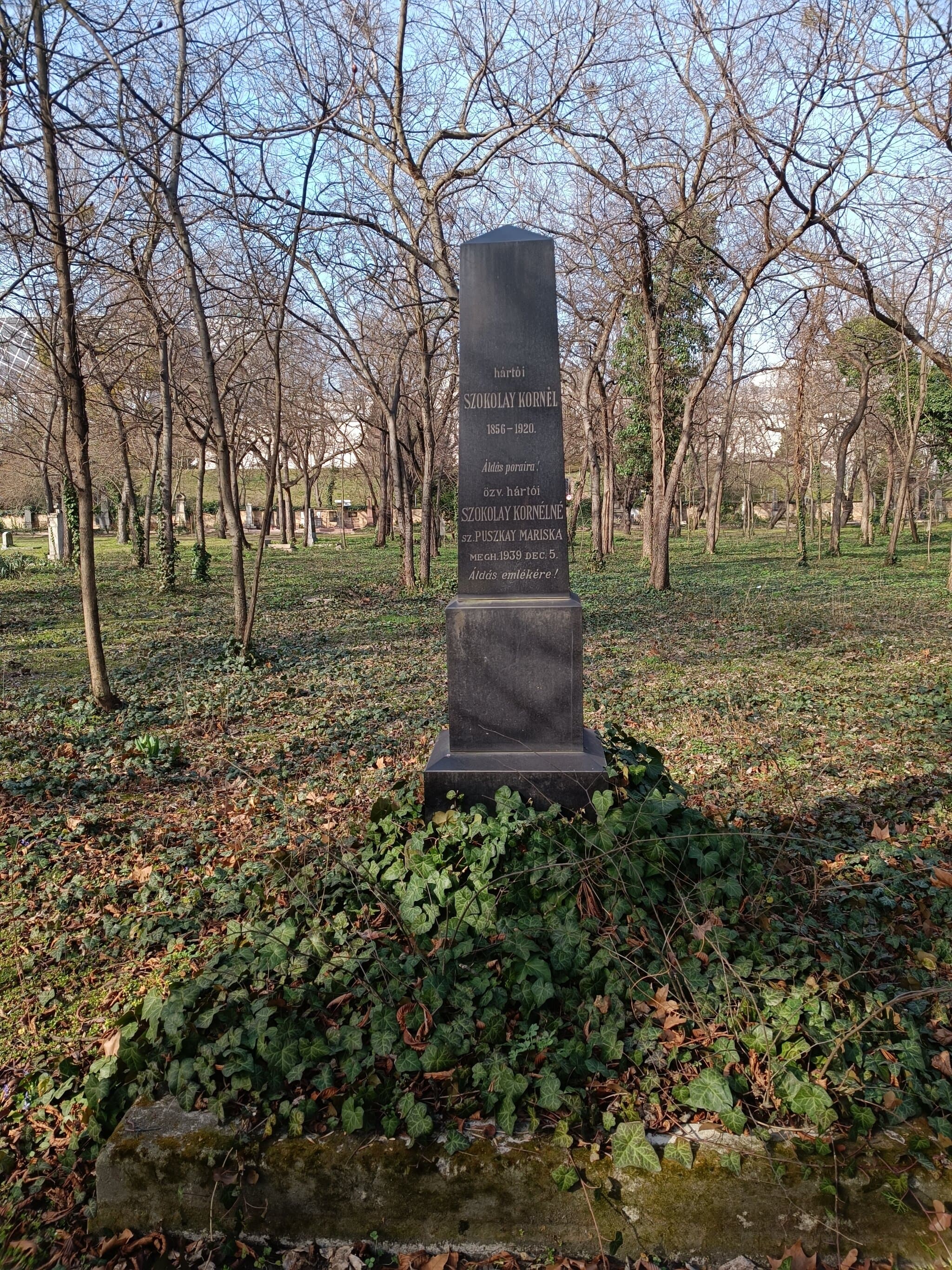 hártói Szokolay Kornél sírja