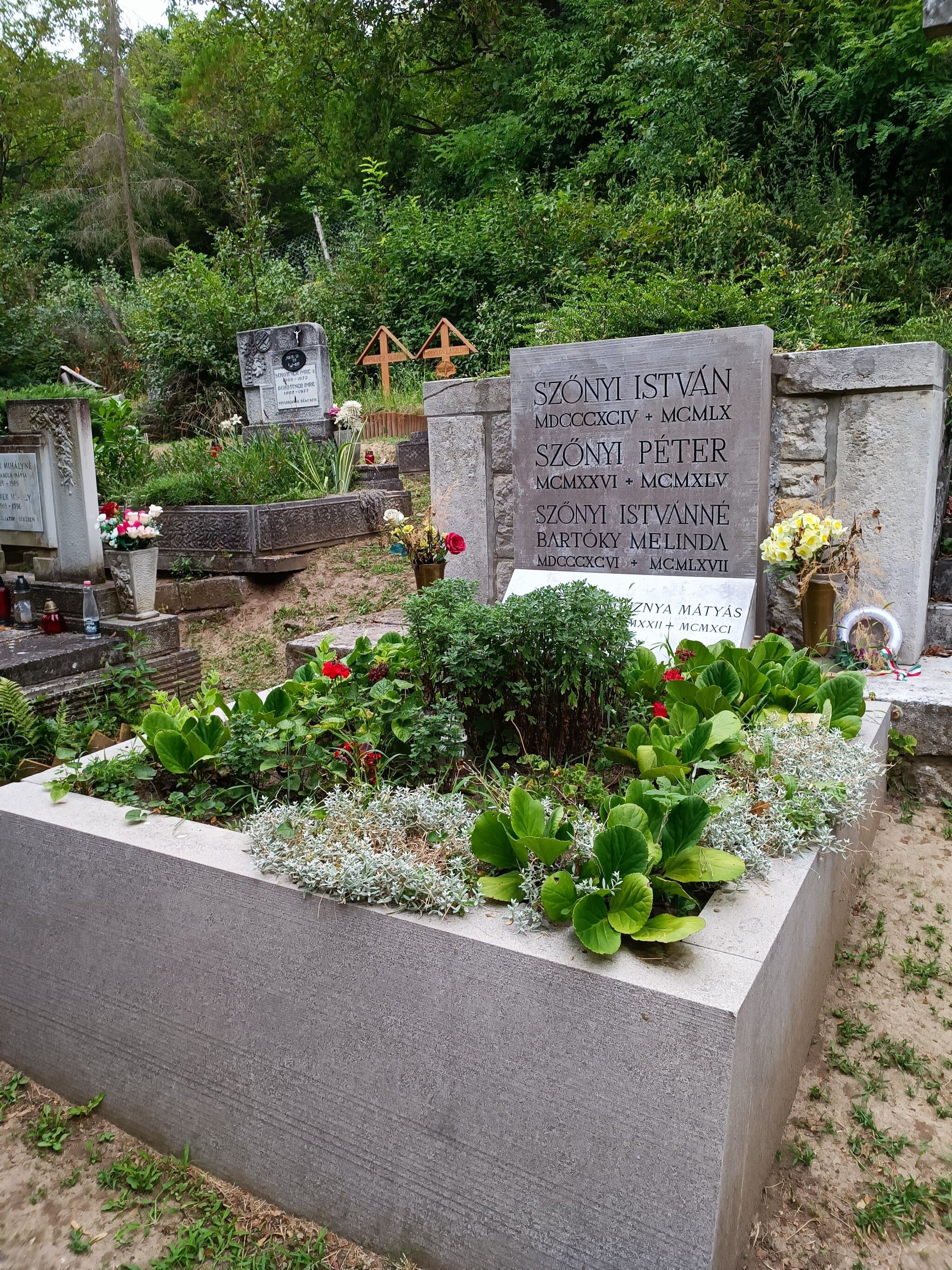 Szőnyi István sírja