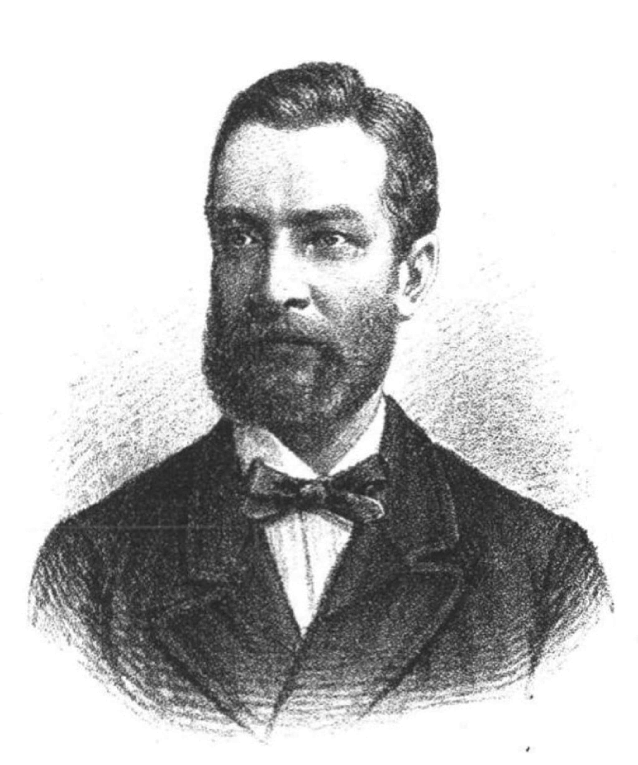 Szvetenay Miklós portréja