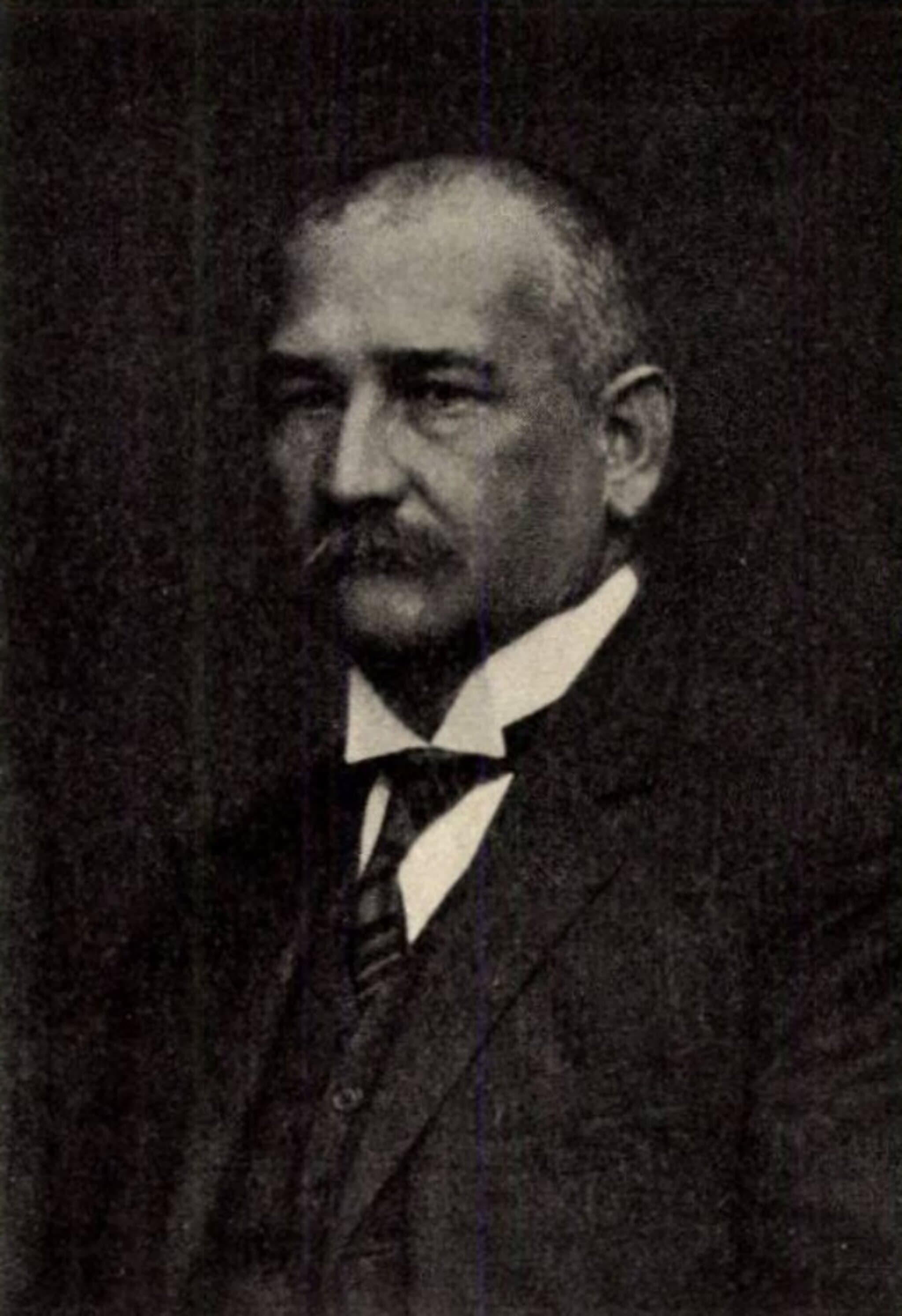 Taizs Károly portréja