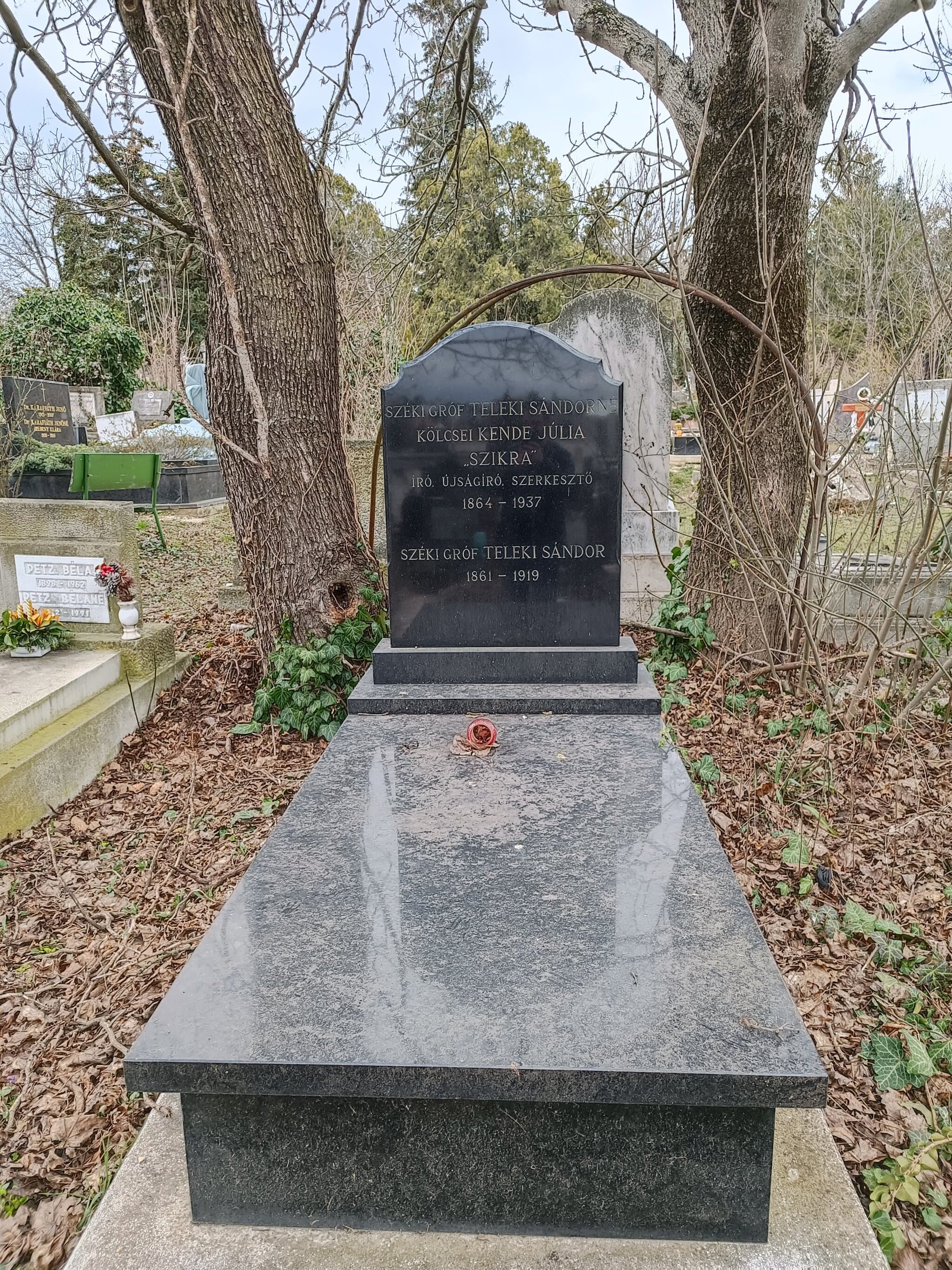 széki gróf Teleki Sándor 1861 sírja