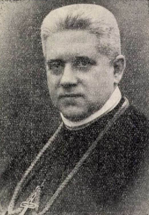 Timon Zsigmond portréja