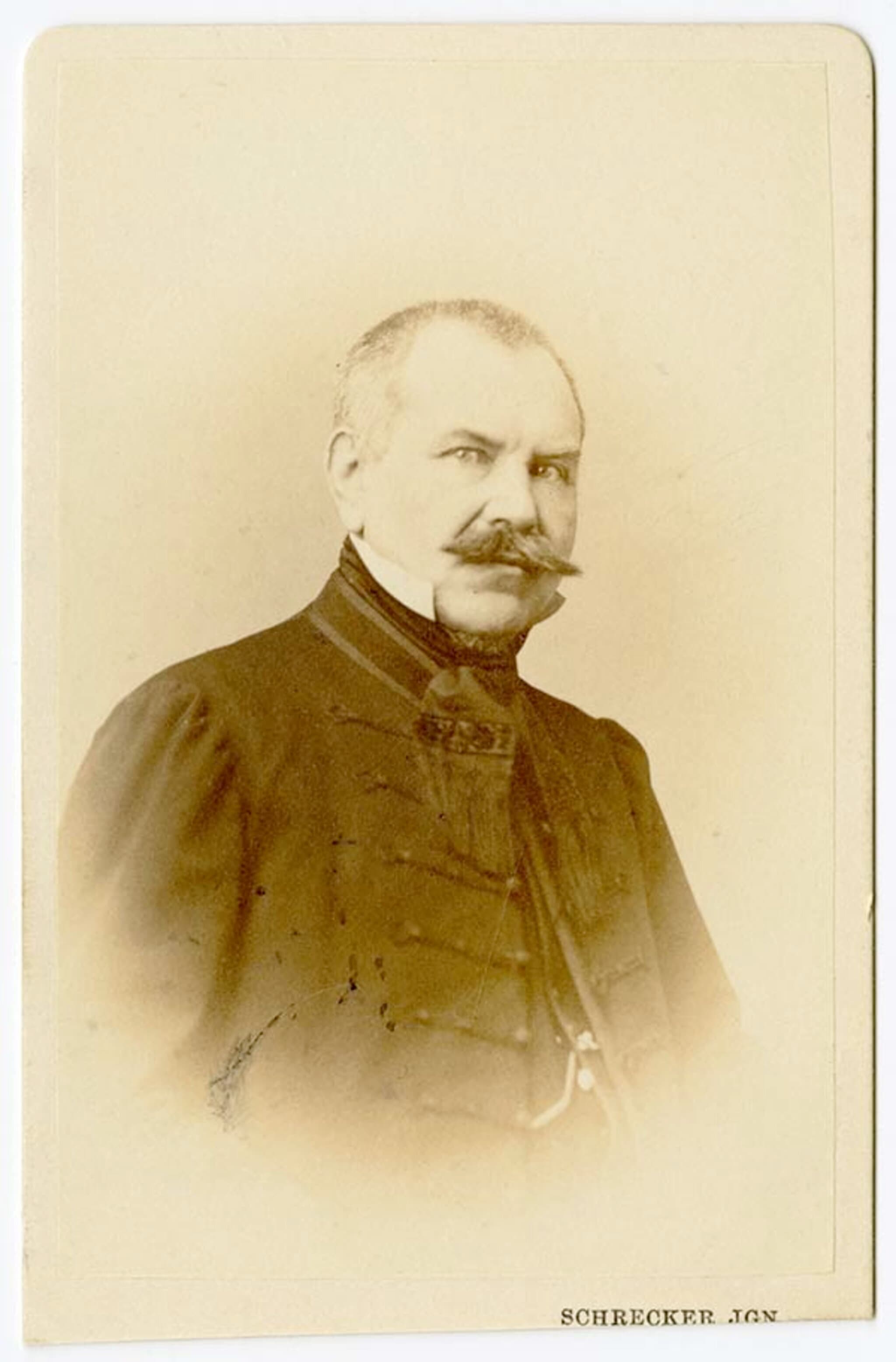 Toldy Ferenc portréja