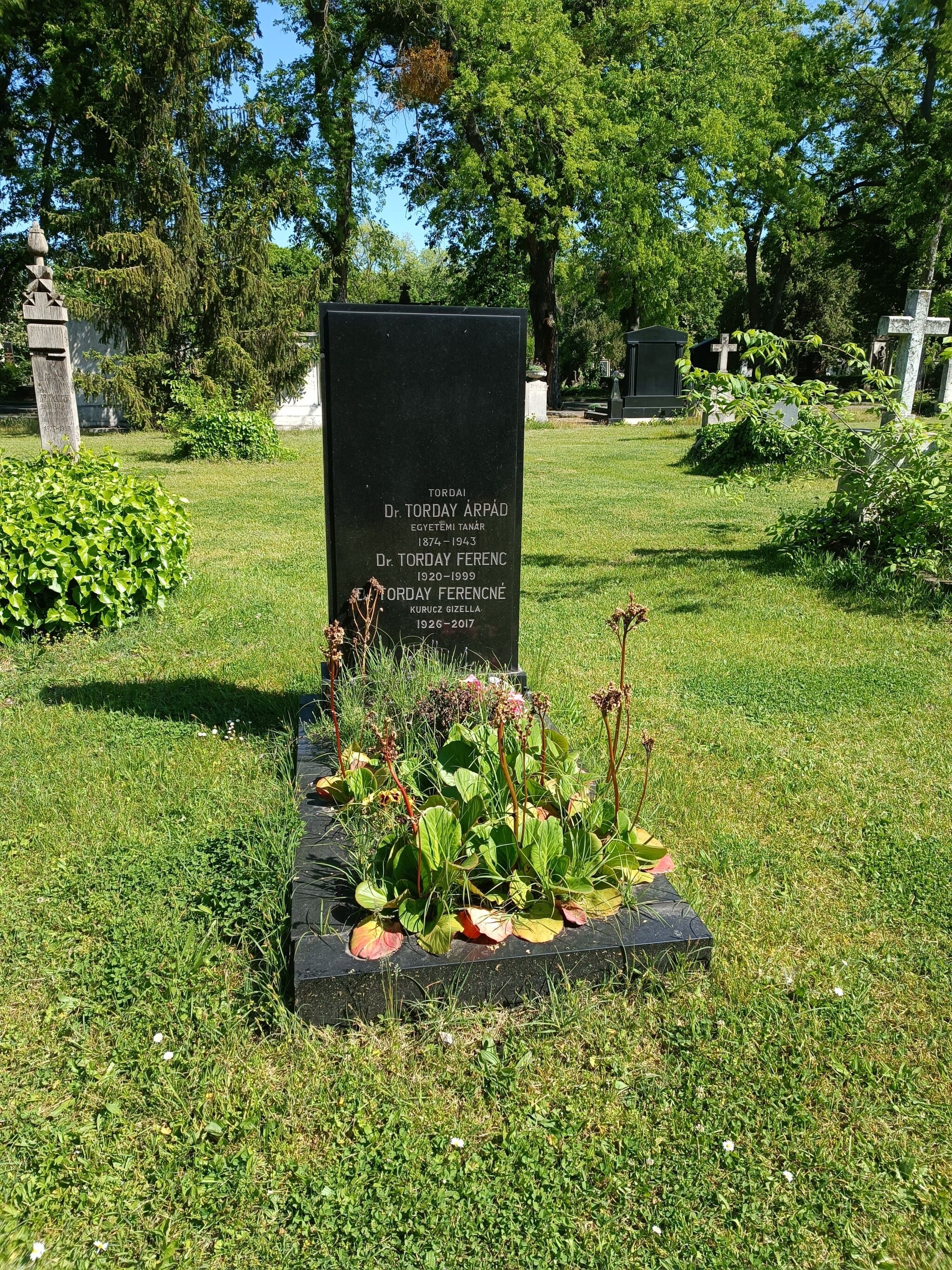tordai Torday Árpád sírja