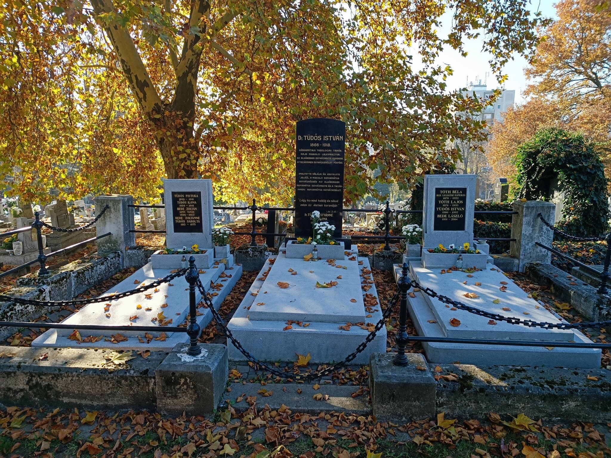 Tüdős István sírja