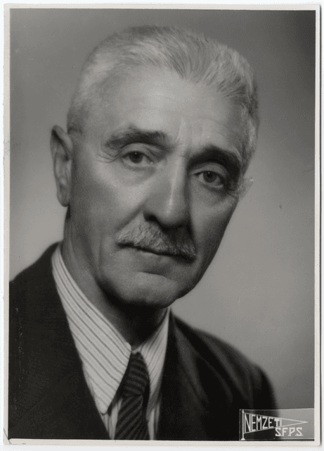 Tuzson János portréja