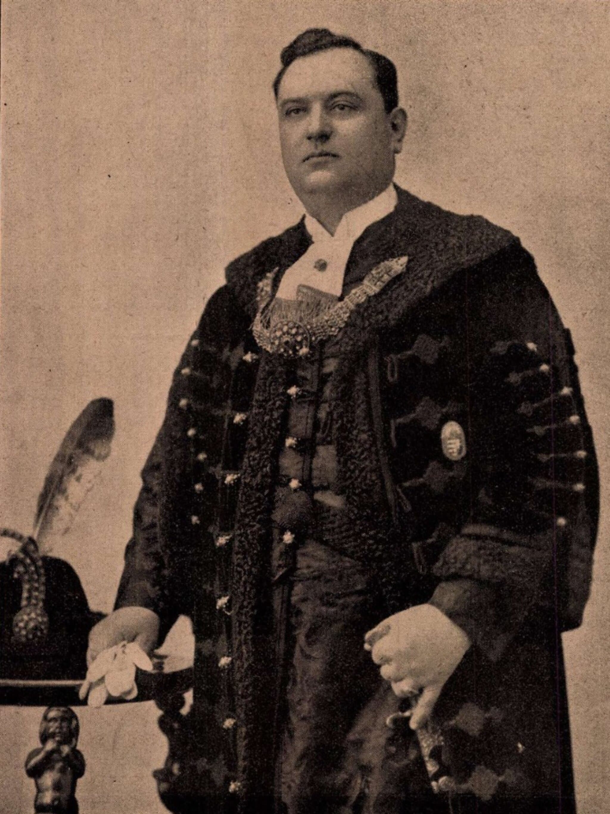 Várady László portréja