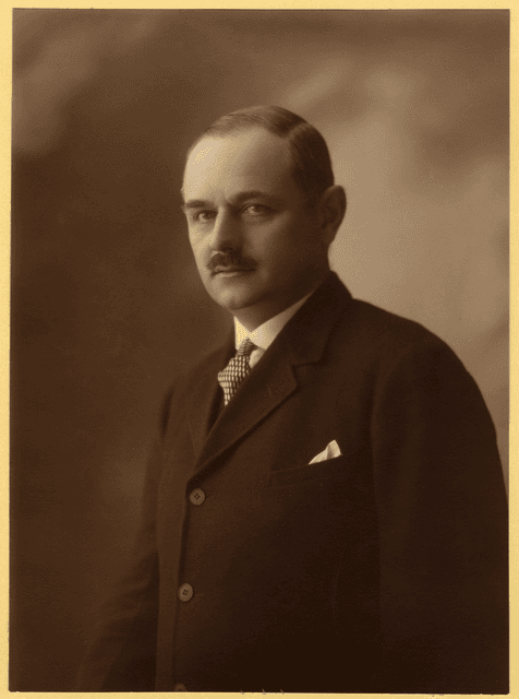 Waldbott Kelemen portréja
