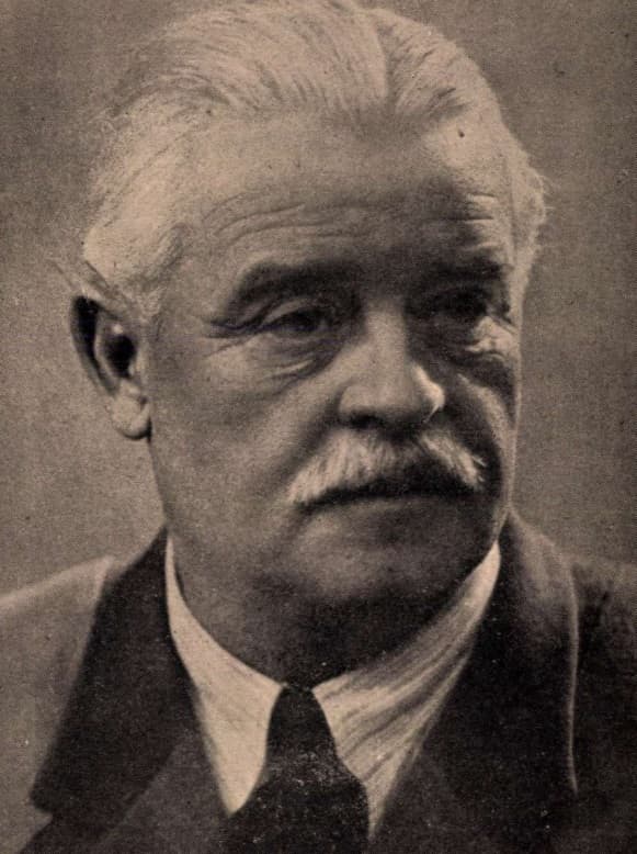 Wesselényi István portréja