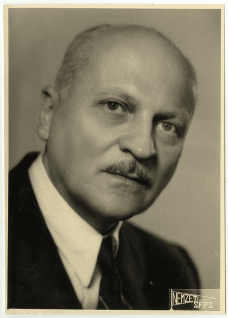 Wlassics Gyula portréja