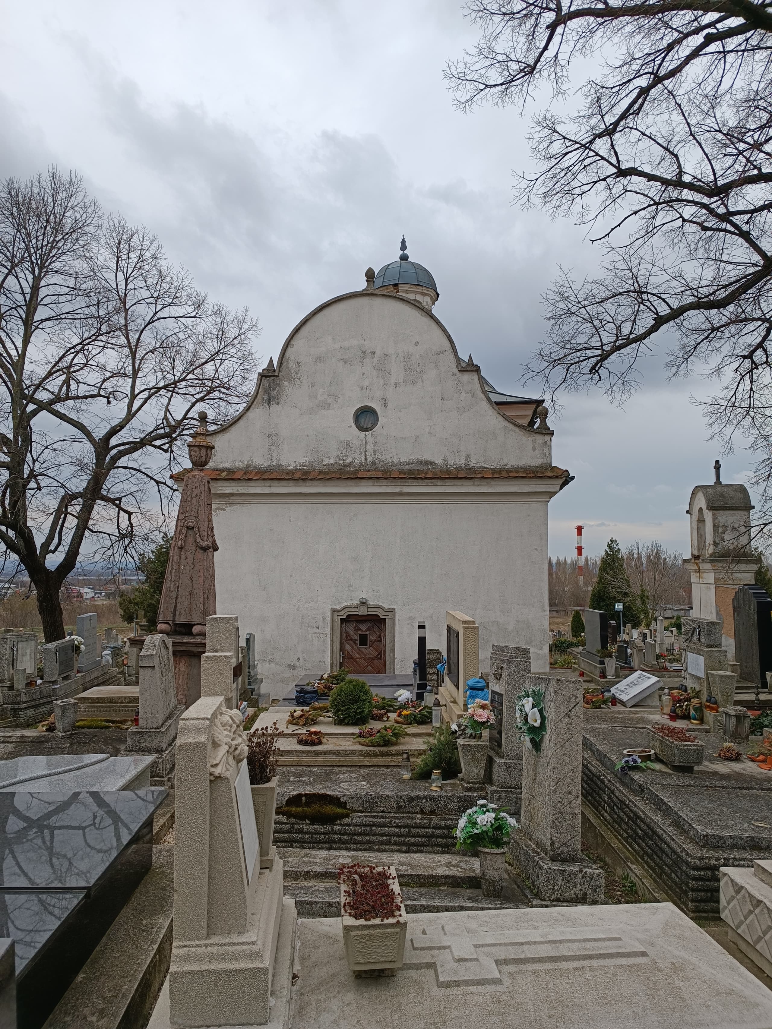 zichi és vásonkeői gróf Zichy Vladimir sírja
