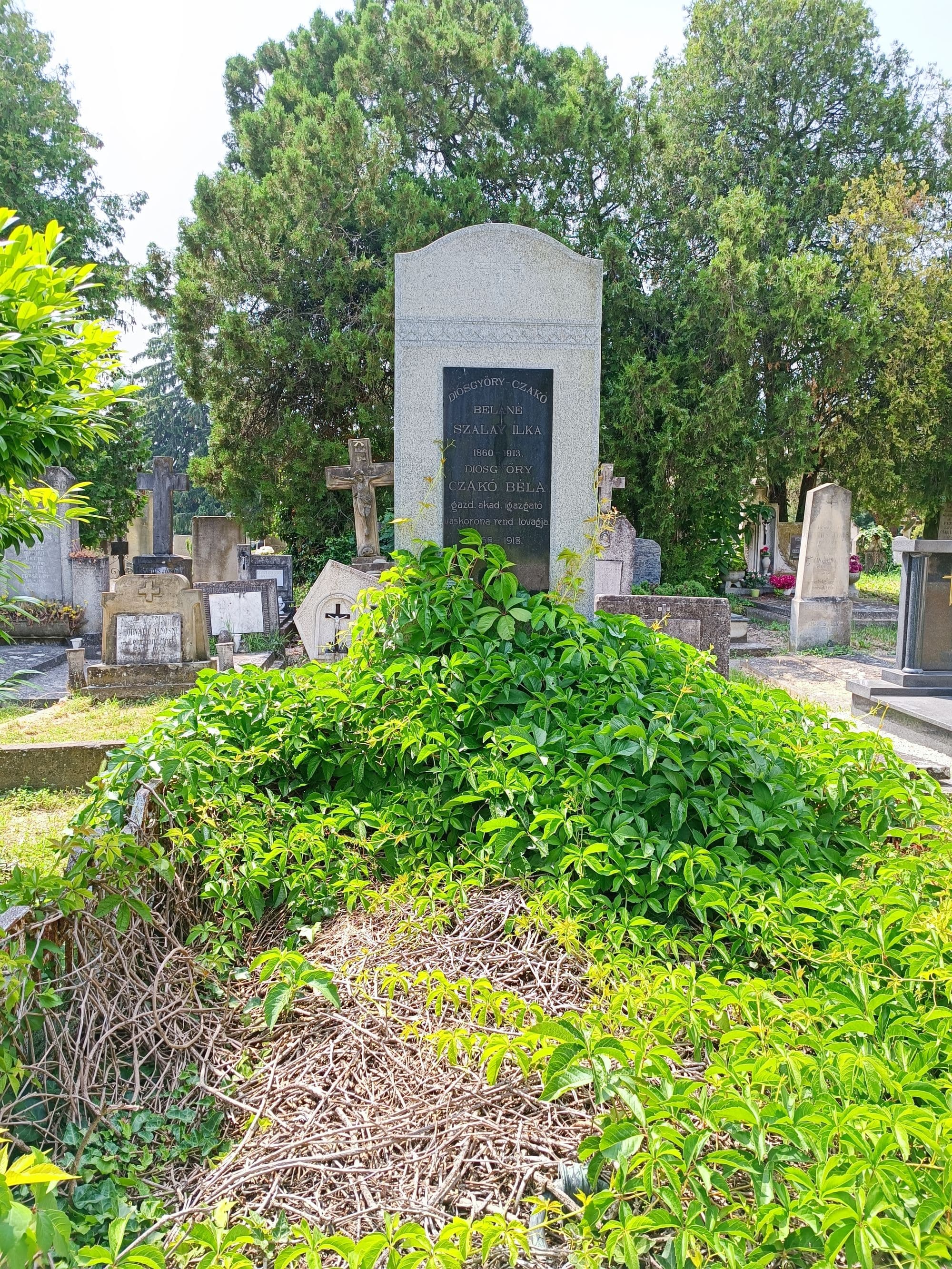 Diósgyőry-Czakó Béla sírja