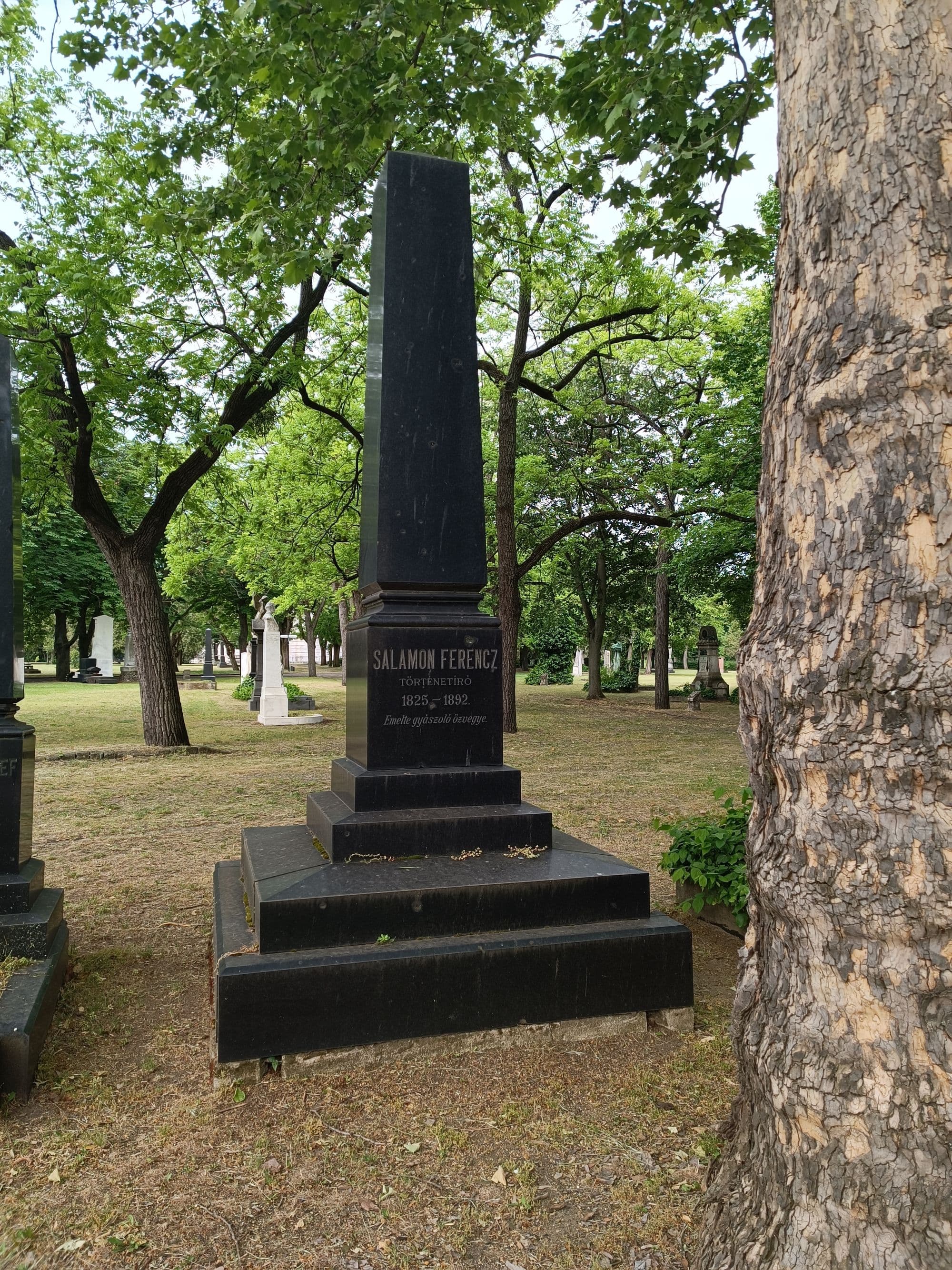 Salamon Ferenc sírja